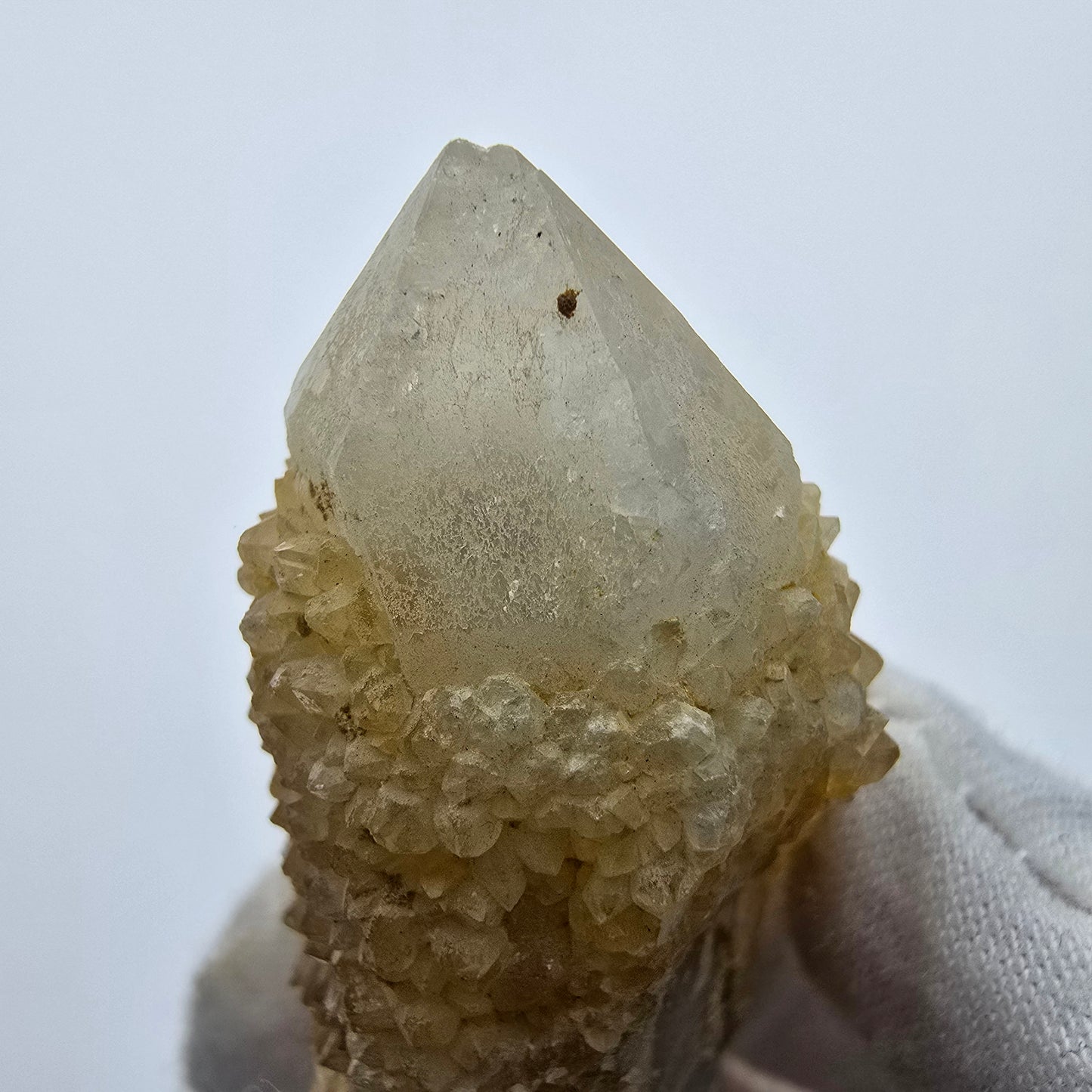 Kaktusquarz, Spirit Quarz XX Stufe Boekenhouthoek, Südafrika 49*29*23mm Sammlung