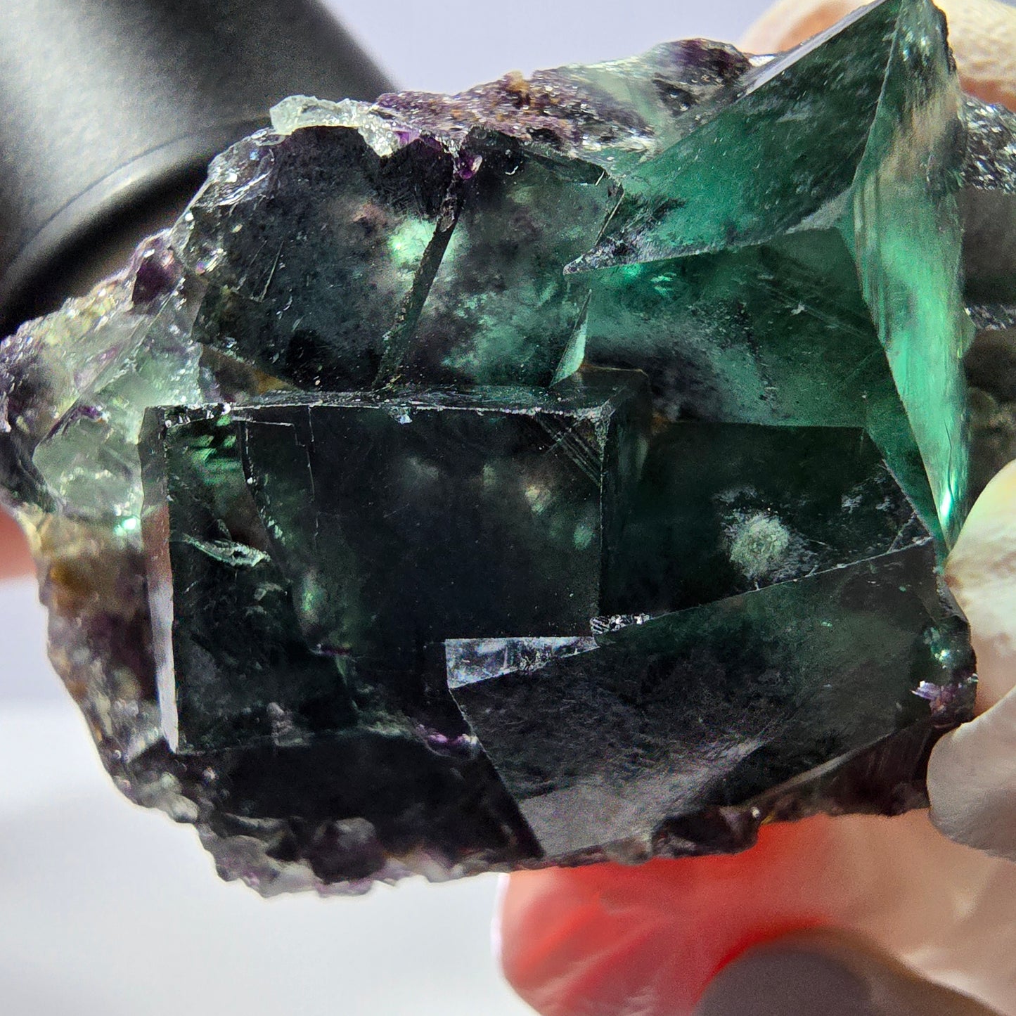 Spécimen de cube de fluorite fantôme, parqueté vert violet Okorusu, Namibie 49*31*21 mm
