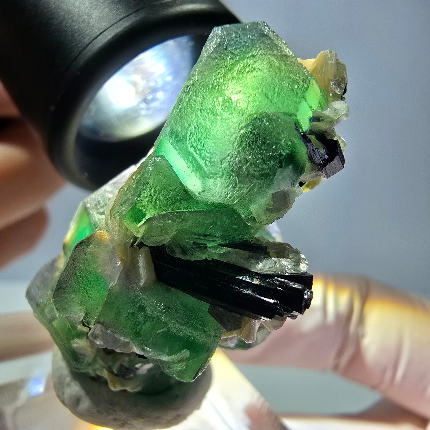 Cube de fluorite fantôme hexagonal, muscovite, tourmaline Schörl Erongo, Namibie 39*25*21mm