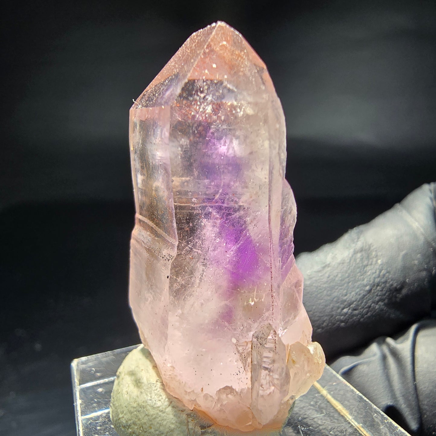 Klare Phantom Amethyst Zepter Spitze Goboboseb Namibia 37*22*15mm Sammlung