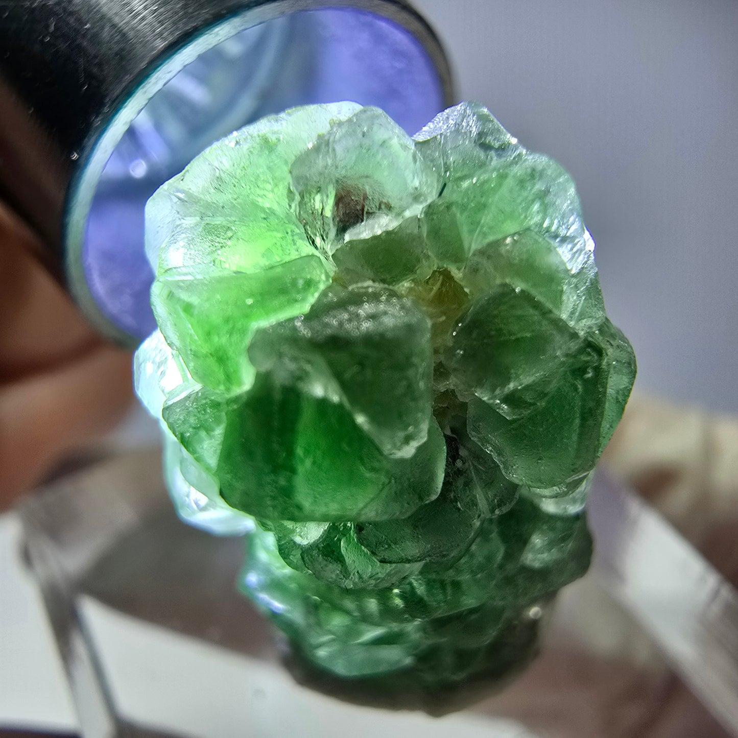 Cube de fluorite fantôme, spécimen de tourmaline Schorl, Erongo, Namibie, 24 x 17 x 16 mm