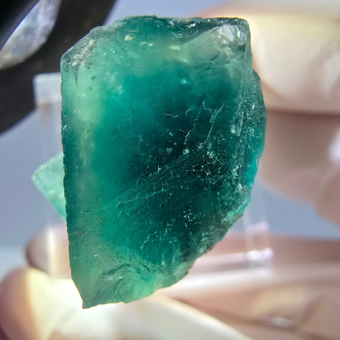 Spécimen de cube de fluorite fantôme, parquet vert Okorusu, Namibie 25 x 21 x 19 mm