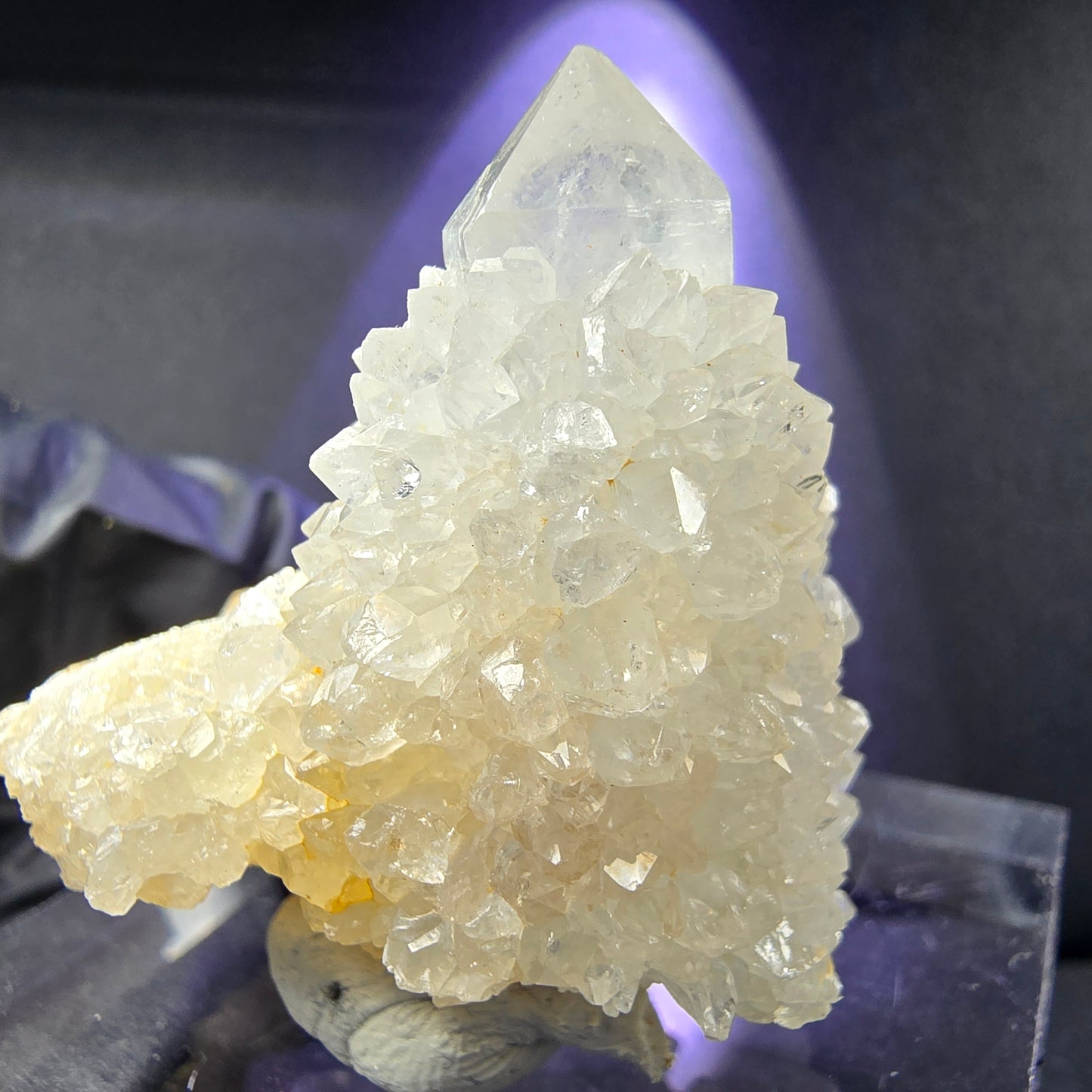 Seltene Kaktusquarz, Spirit Quarz XX Stufe 35*37*30mm Boekenhouthoek, Südafrika