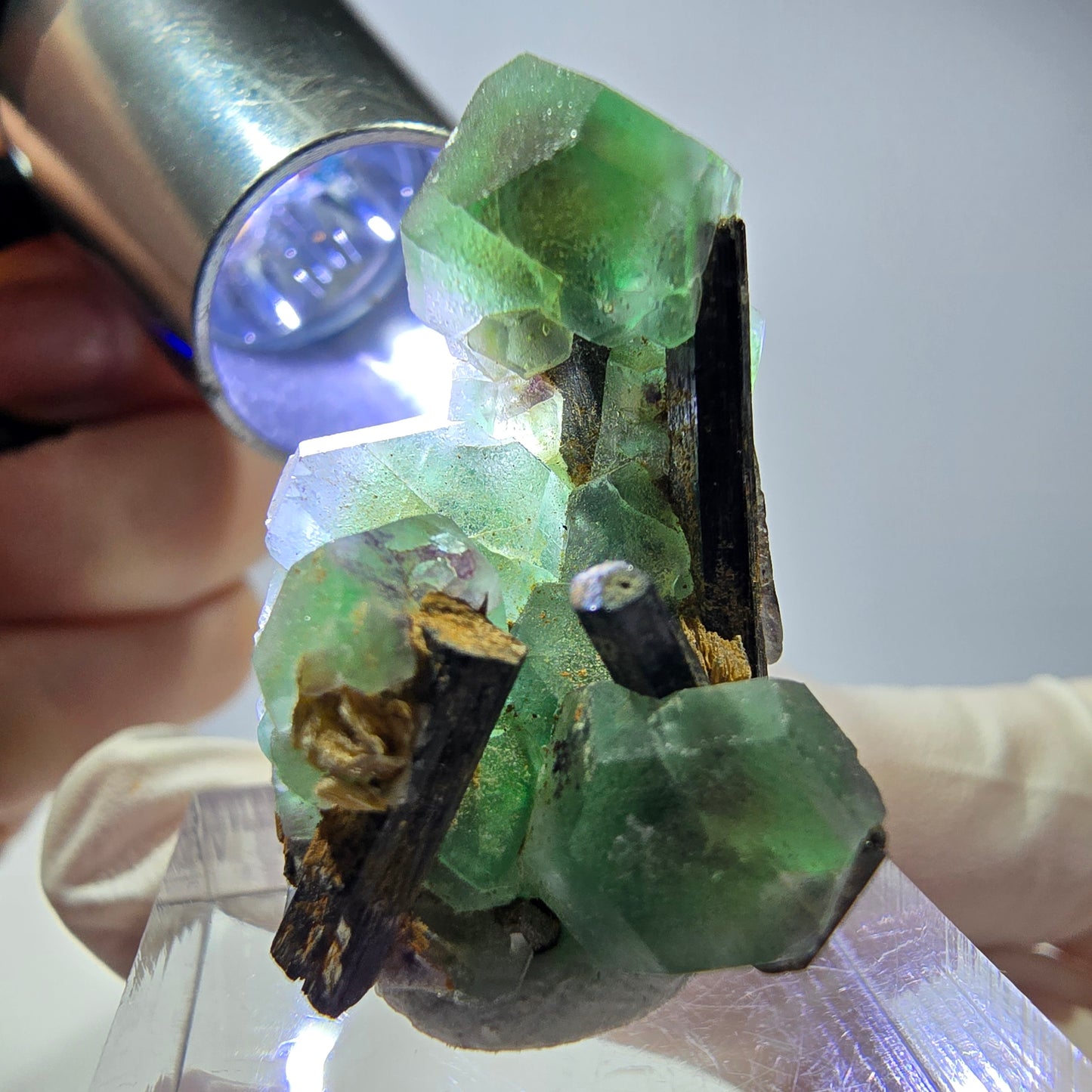 Cube hexagonal de fluorite fantôme, muscovite, tourmaline Schörl, Erongo, Namibie, 30 x 23 x 20 mm