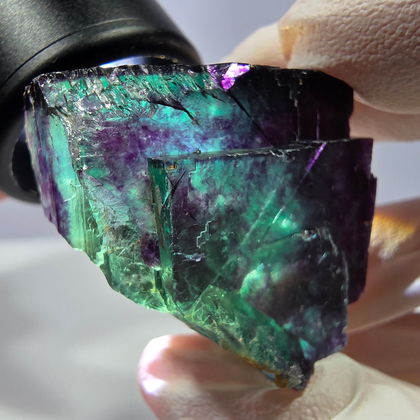 Spécimen de cube de fluorite fantôme, parqueté vert violet Okorusu, Namibie 31*30*20 mm