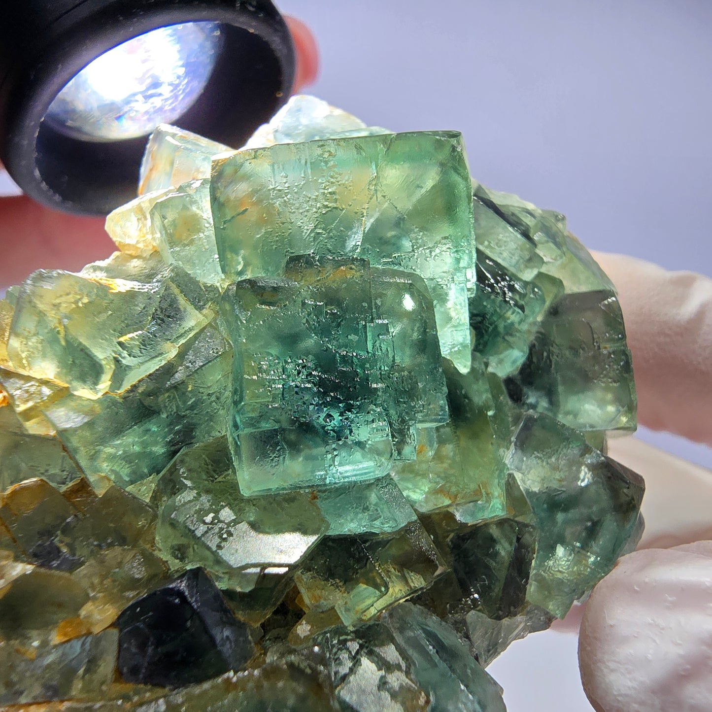 Spécimen de cube de fluorite fantôme parqueté vert violet Okorusu, Namibie 60*48*24mm
