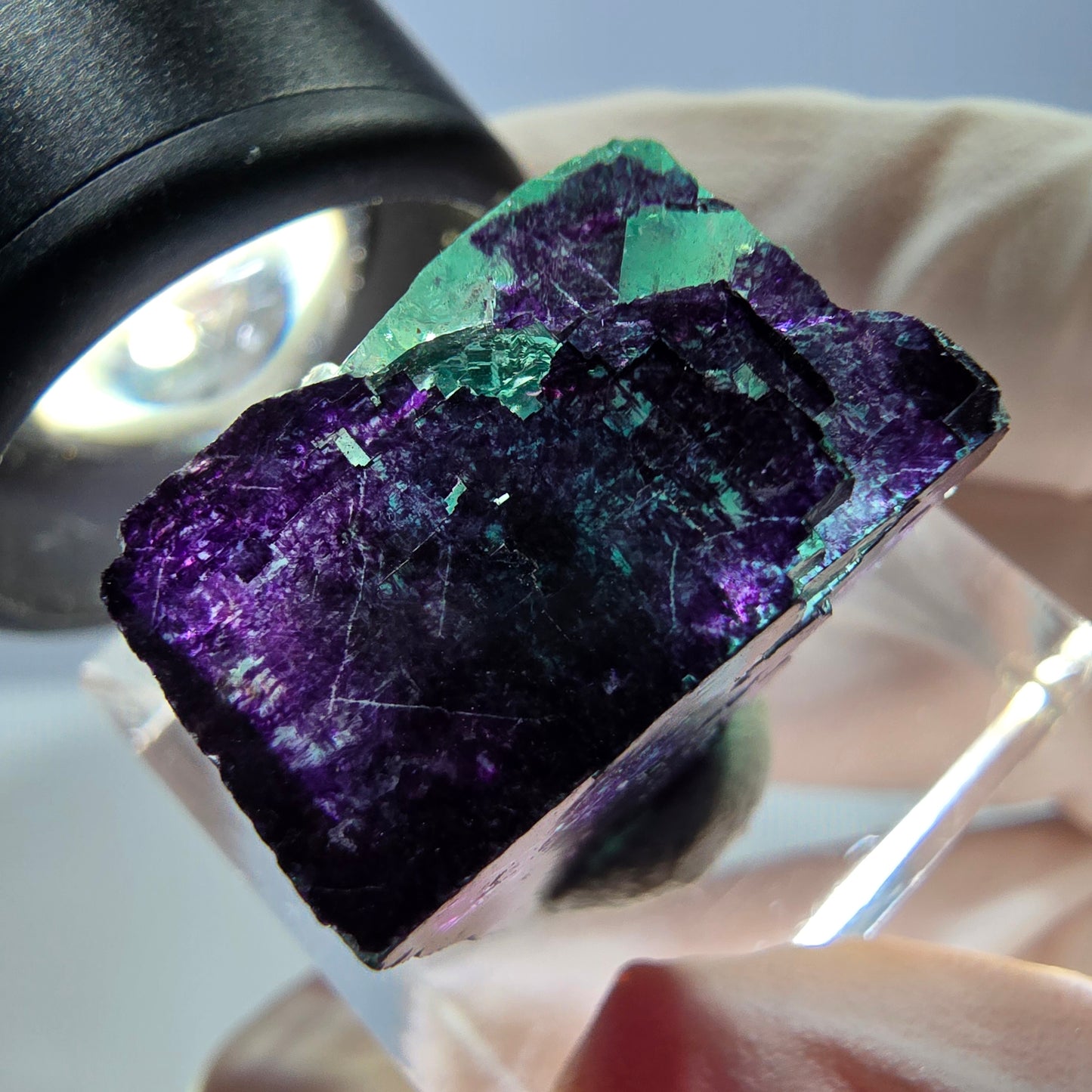 Phantom Fluorit Würfel Stufe grün lila zonal 11:11 Angel Pocket, Namibia 20*19*14mm