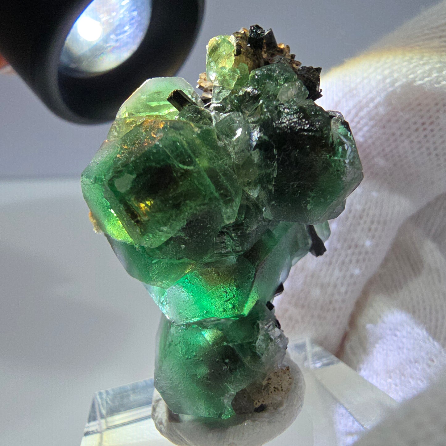 Fluorite fantôme hexagonale Schörl Tourmaline Quartz fumé Hyalite Erongo, Namibie 39*25*22mm