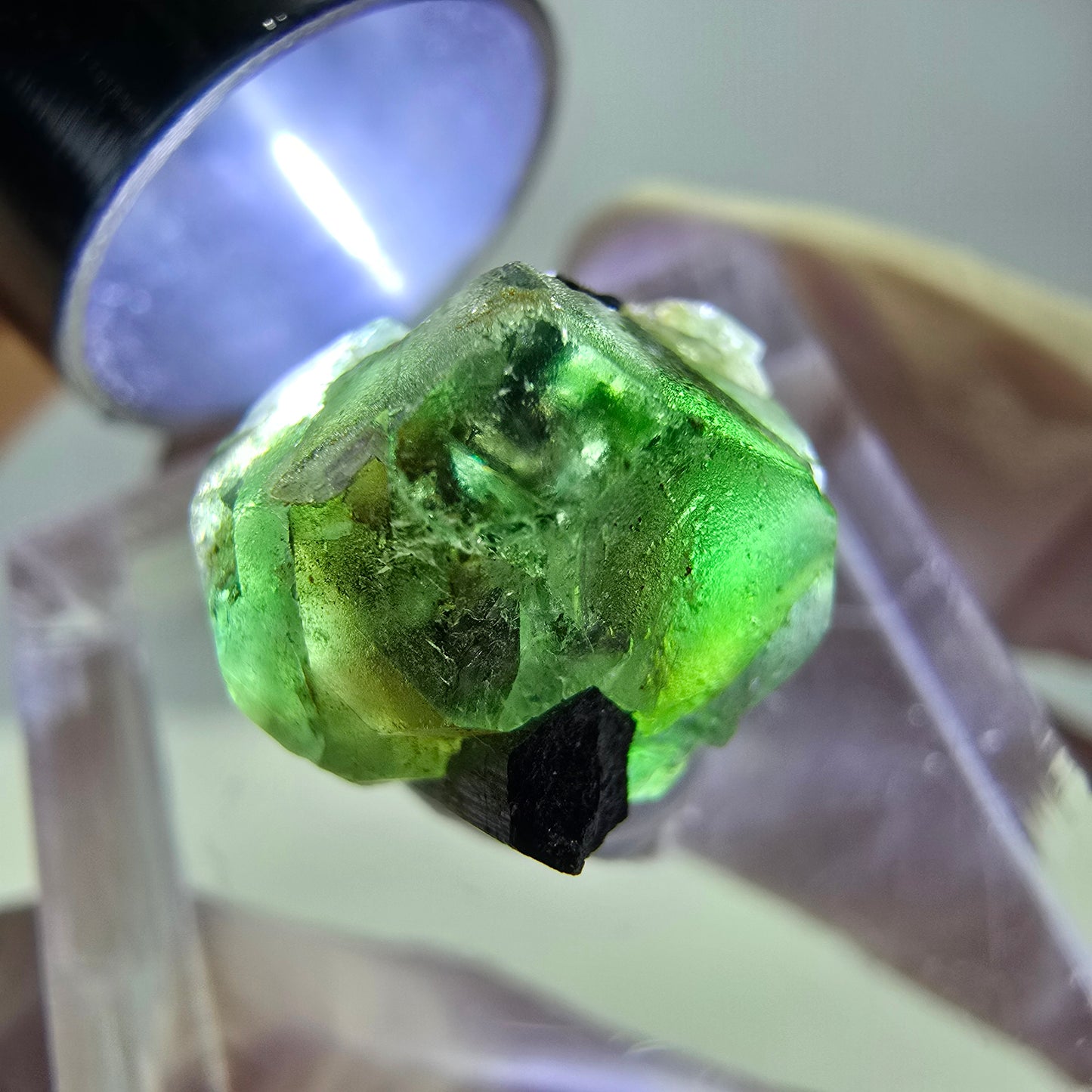 Cube hexagonal de fluorite fantôme, muscovite, tourmaline Schörl, Erongo, Namibie 14 x 13 x 12 mm