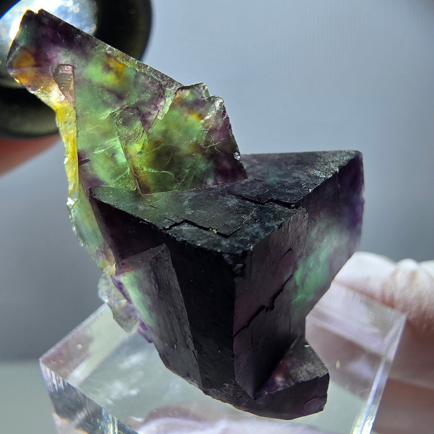 Spécimen rare de cube de fluorite, vert violet, Okorusu, Namibie, 40 x 25 x 18 mm