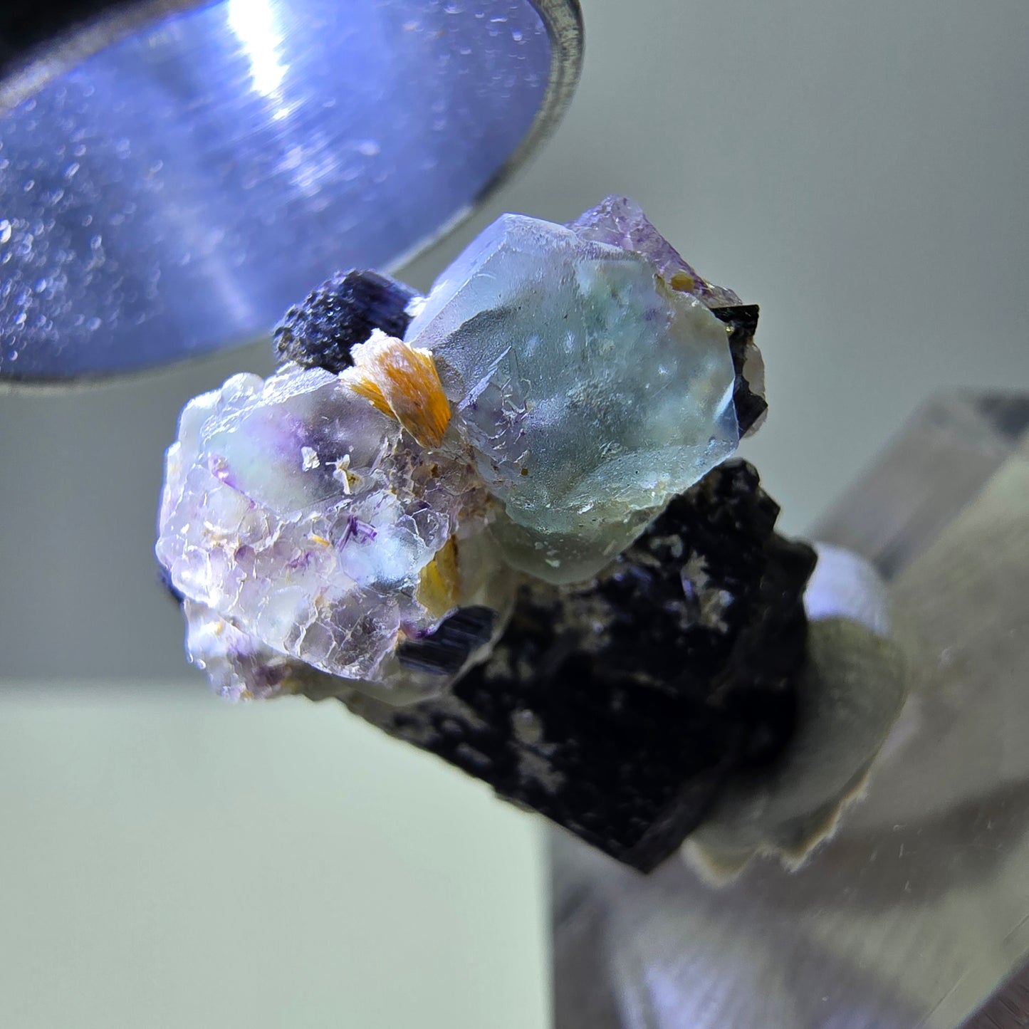Spécimen de tourmaline Schorl hexagonale en fluorite fantôme, Erongo, Namibie, 21 x 17 x 12 mm