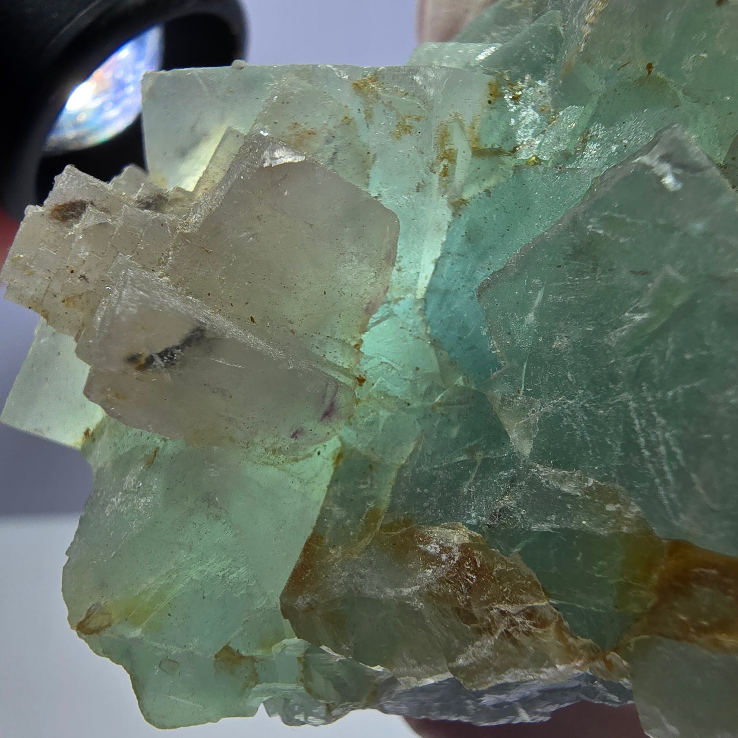 Rare spécimen de cube de fluorite fantôme, vert et blanc, Okorusu, Namibie, 61 x 51 x 34 mm