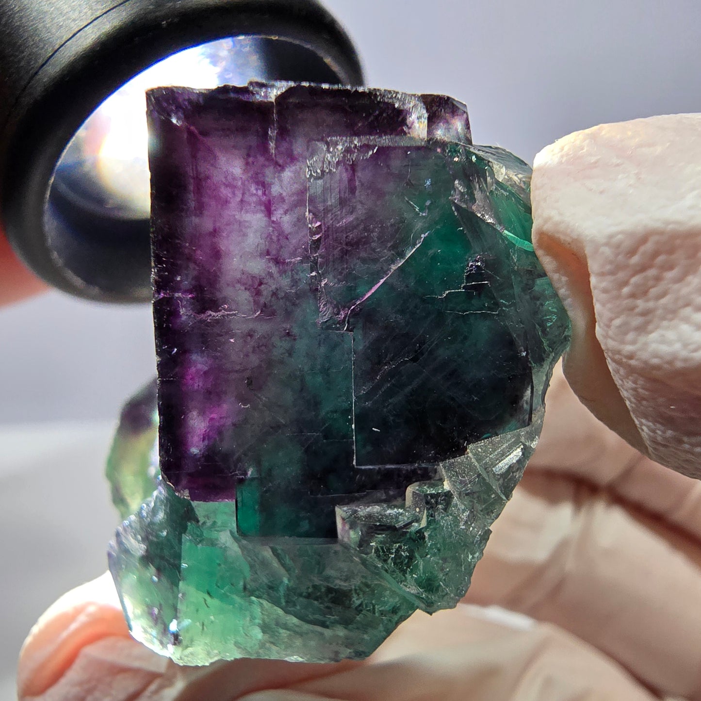 Spécimen de cube de fluorite fantôme, parqueté vert violet Okorusu, Namibie 36*31*29 mm