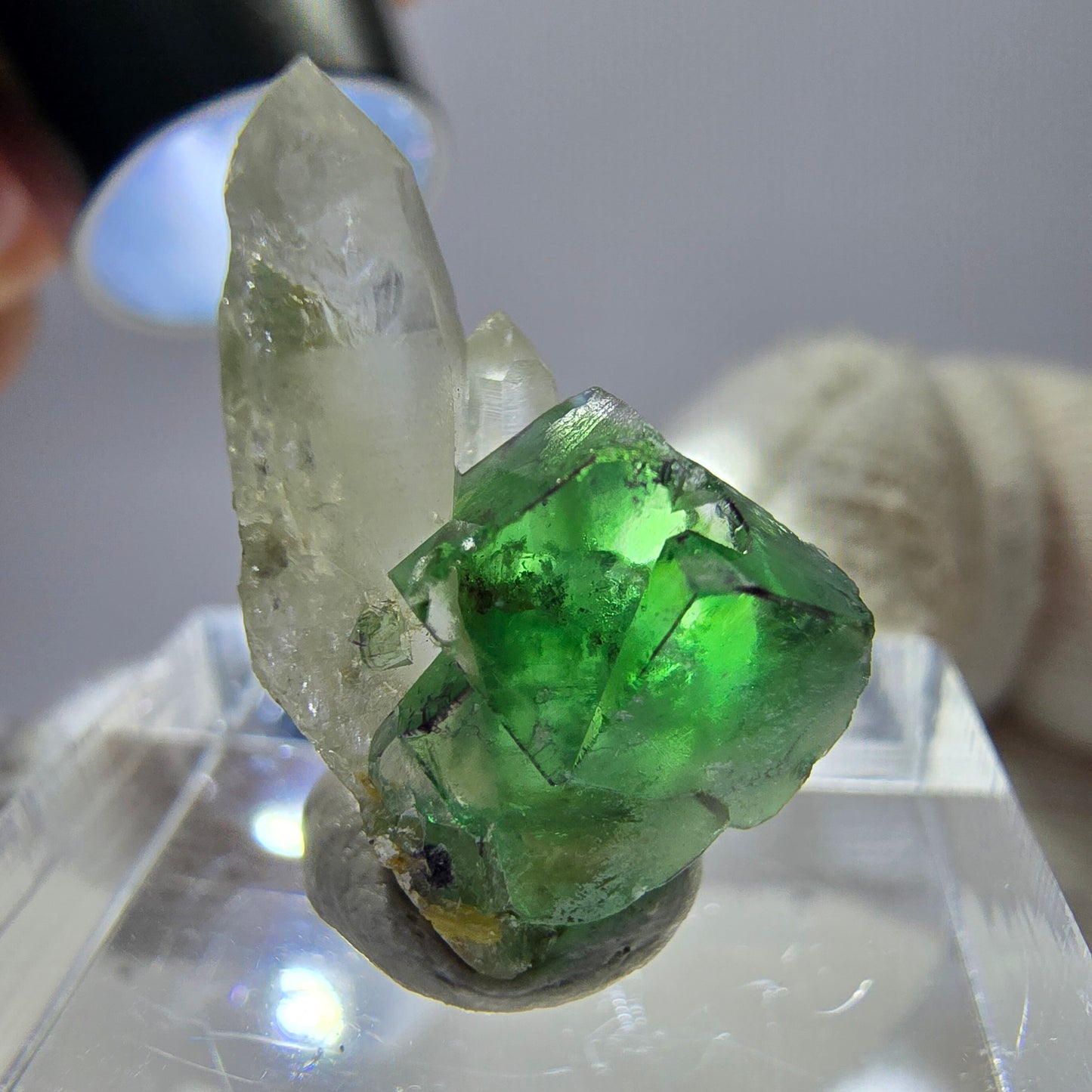 Cube de fluorite fantôme, spécimen de quartz fumé, Erongo, Namibie, 19 x 10 x 12 mm