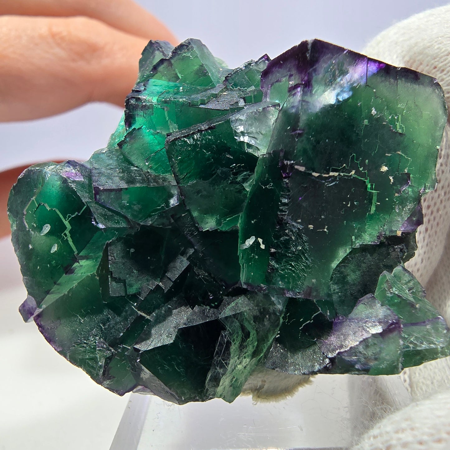 Phantom Fluorit Würfel Stufe parkettiert zonal Okorusu, Namibia 50*40*28mm