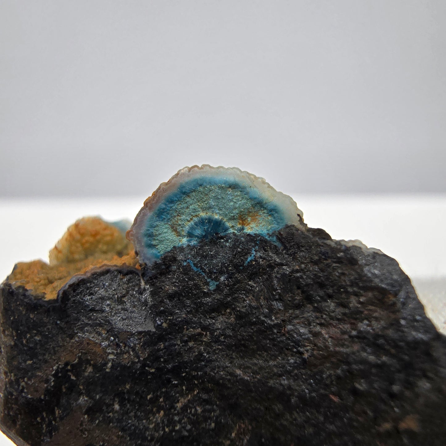 Seltene Shattuckit Stufe mit Kugel Kristallen blau Kaokoveld, Namibia 29*22*13mm