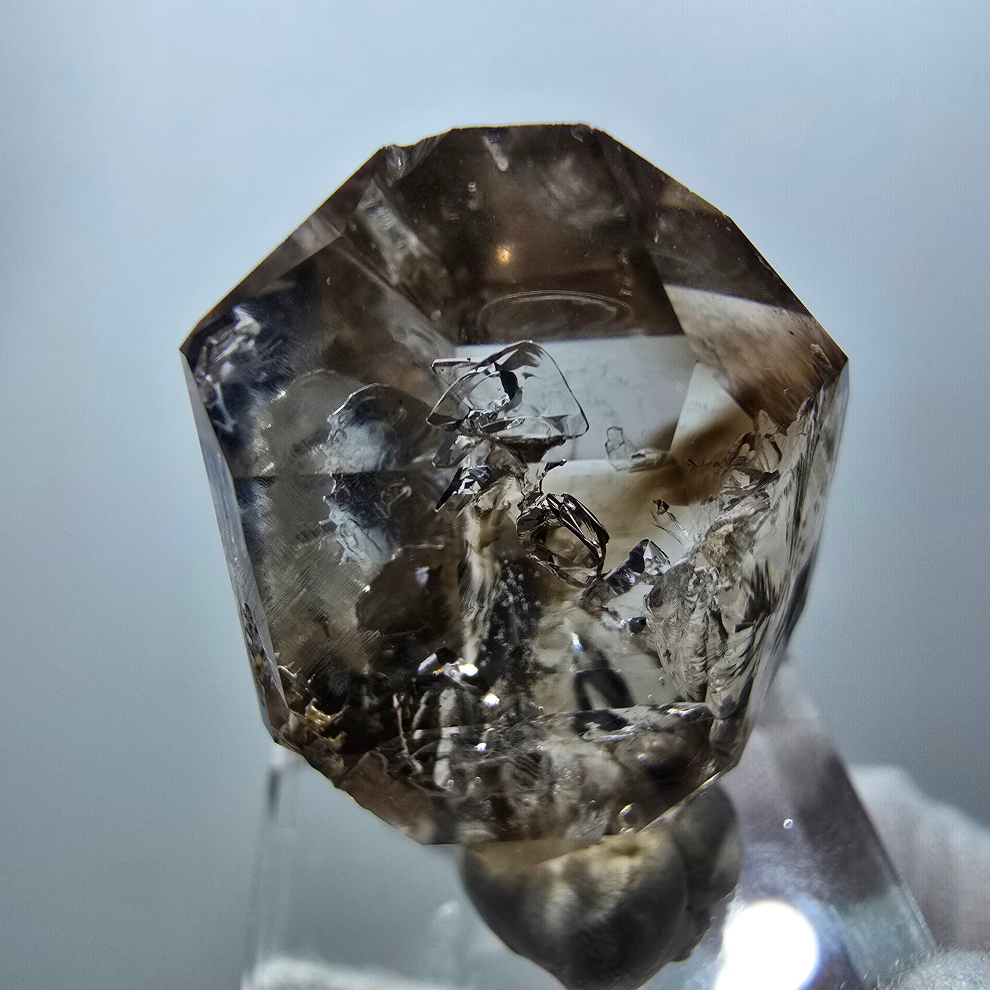 Klarer Phantom Rauchquarz Zepter Kristall Goboboseb, Namibia 32*24*17mm