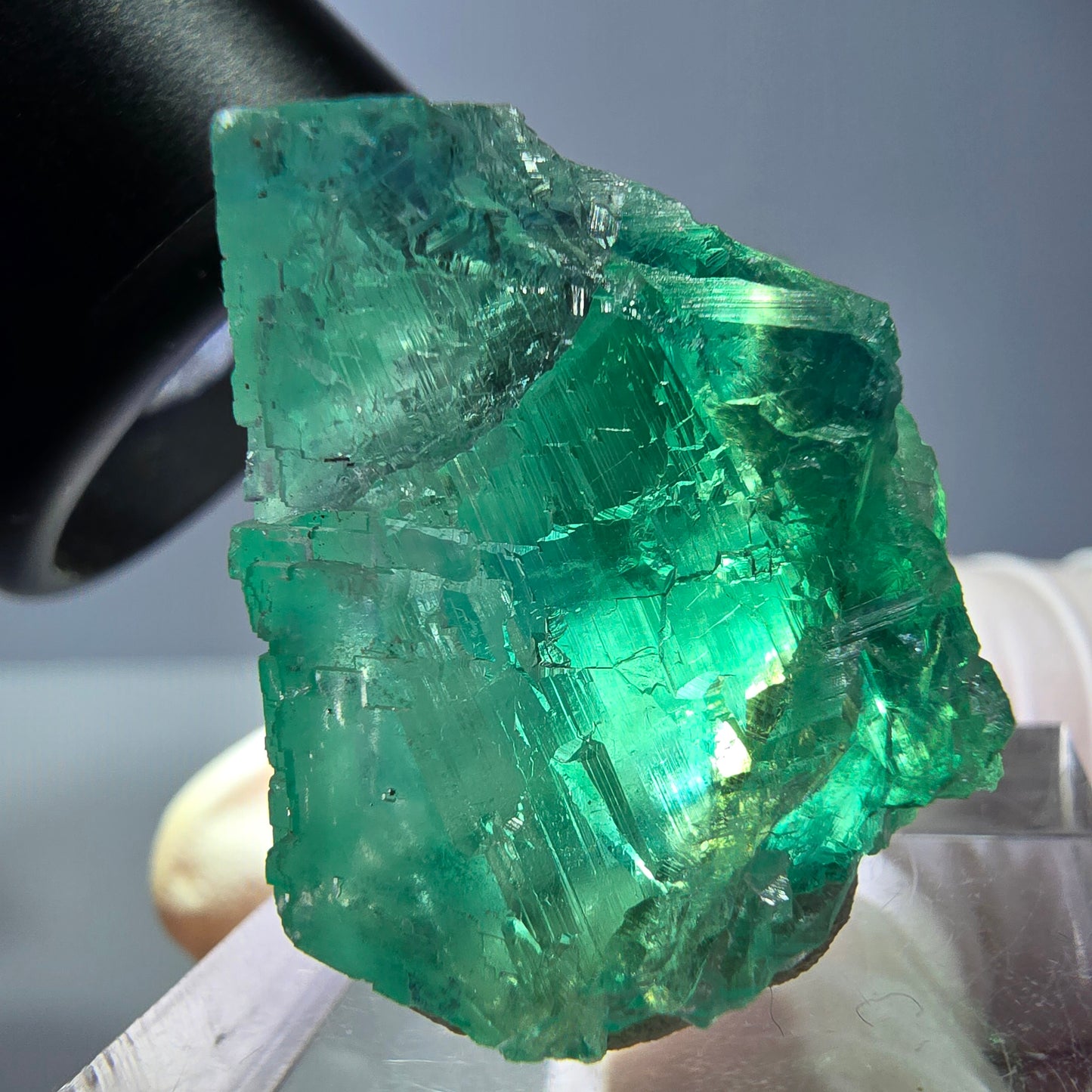 Cube de fluorite fantôme transparente parquetée, vert Okorusu, Namibie 28 x 24 x 20 mm