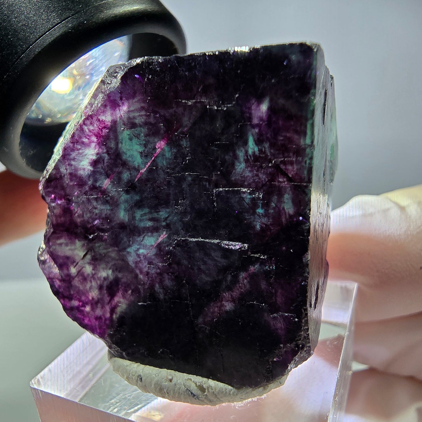 Rare cube de fluorite fantôme parqueté vert violet Okorusu Namibie 31*30*25mm