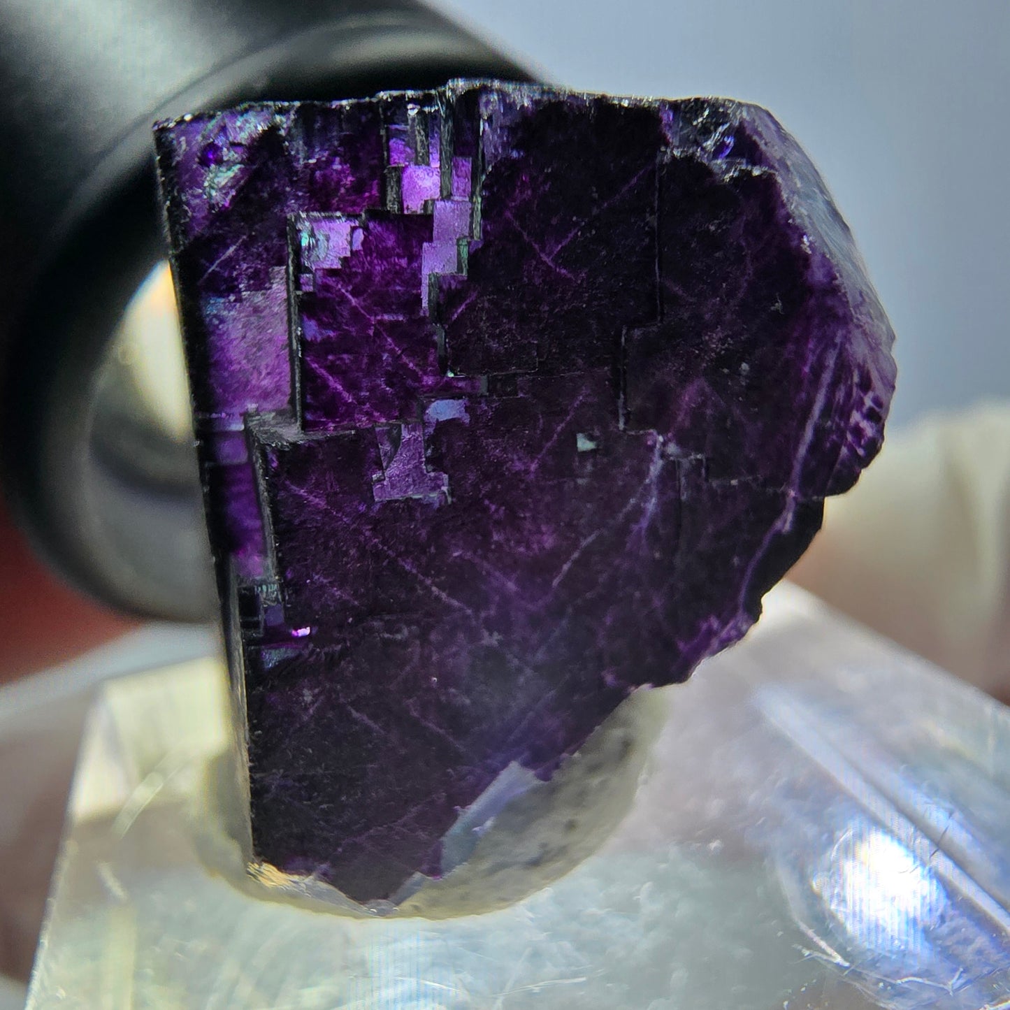 Phantom Fluorit Würfel Stufe grün lila zonal 11:11 Angel Pocket, Namibia 20*19*19mm