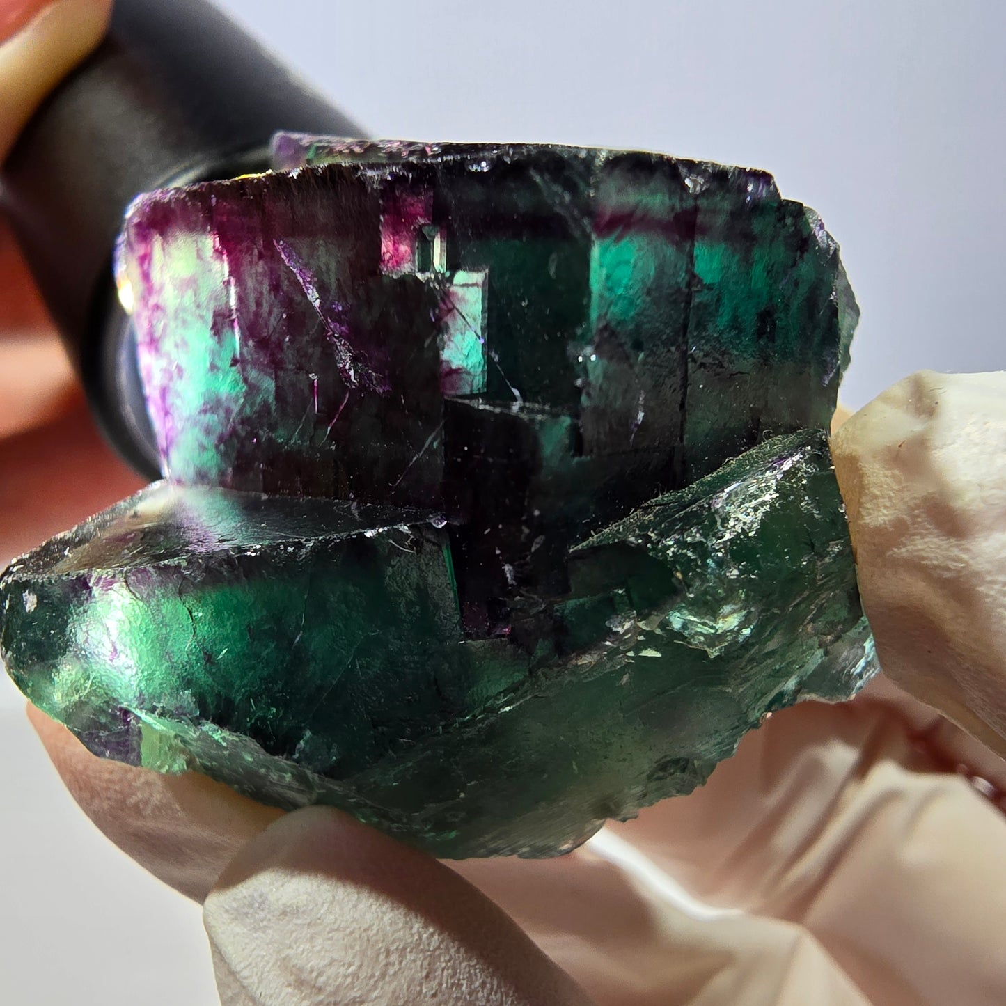 Spécimen de cube de fluorite fantôme, parqueté vert violet Okorusu, Namibie 41*41*25 mm