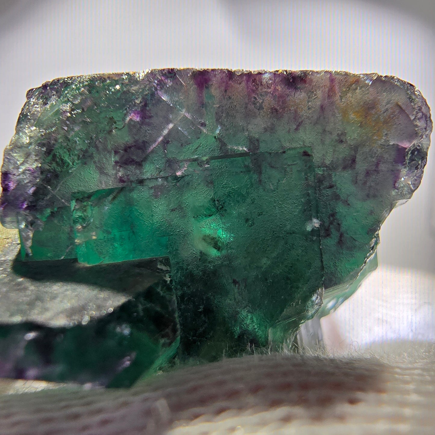 Spécimen rare de cube de fluorite fantôme, vert zonal et violet, Okorusu, Namibie, 45 x 43 x 25 mm