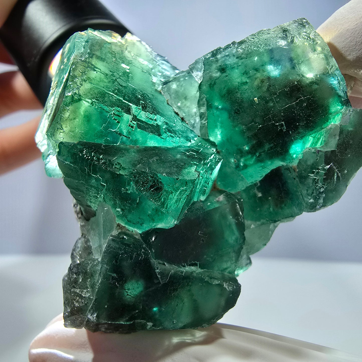 Spécimen de cube de fluorite fantôme transparente, vert parqueté, Okorusu, Namibie, 60 x 51 x 26 mm