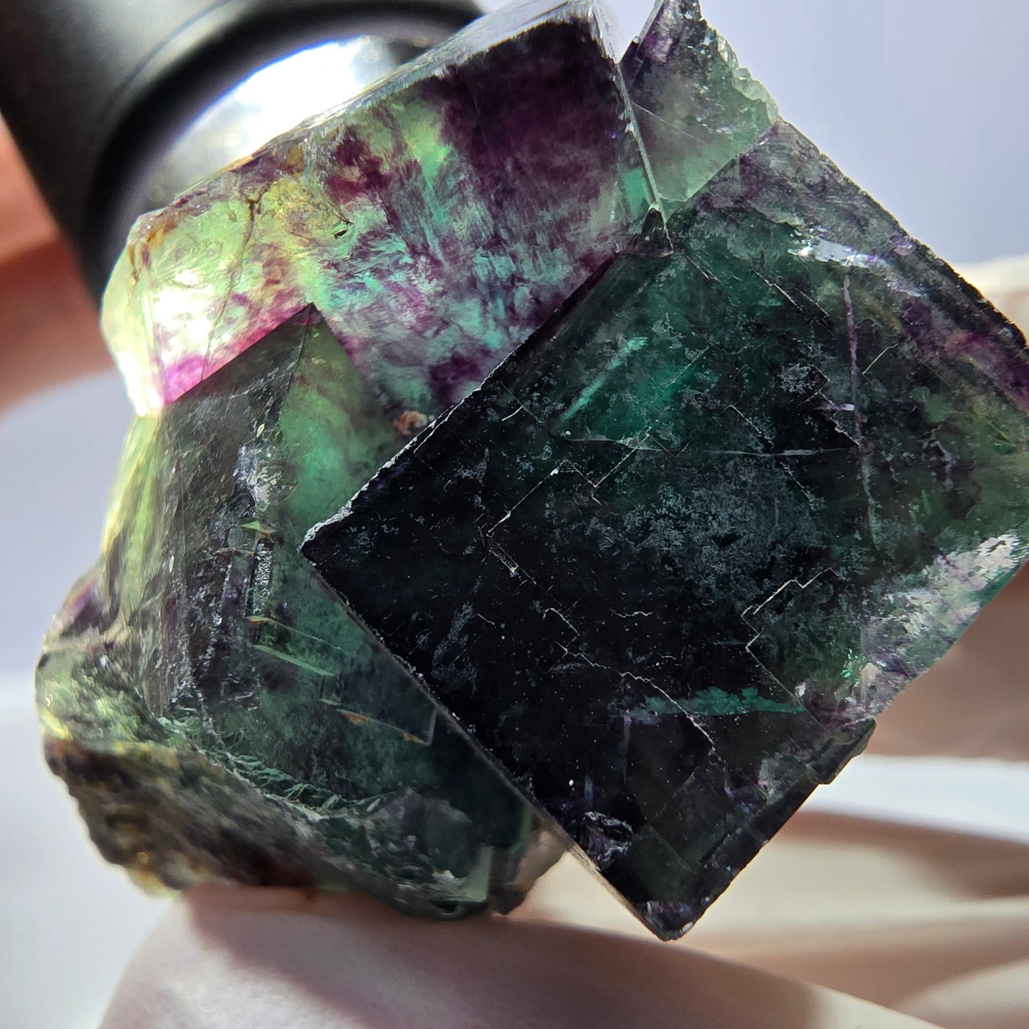 Spécimen de cube de fluorite fantôme parqueté vert violet Okorusu, Namibie 45*40*33mm