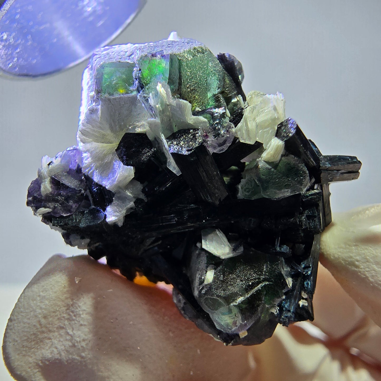 Tourmaline Schorl rare, cube de fluorite, spécimen de muscovite, Erongo, Namibie, 30 x 23 x 21 mm
