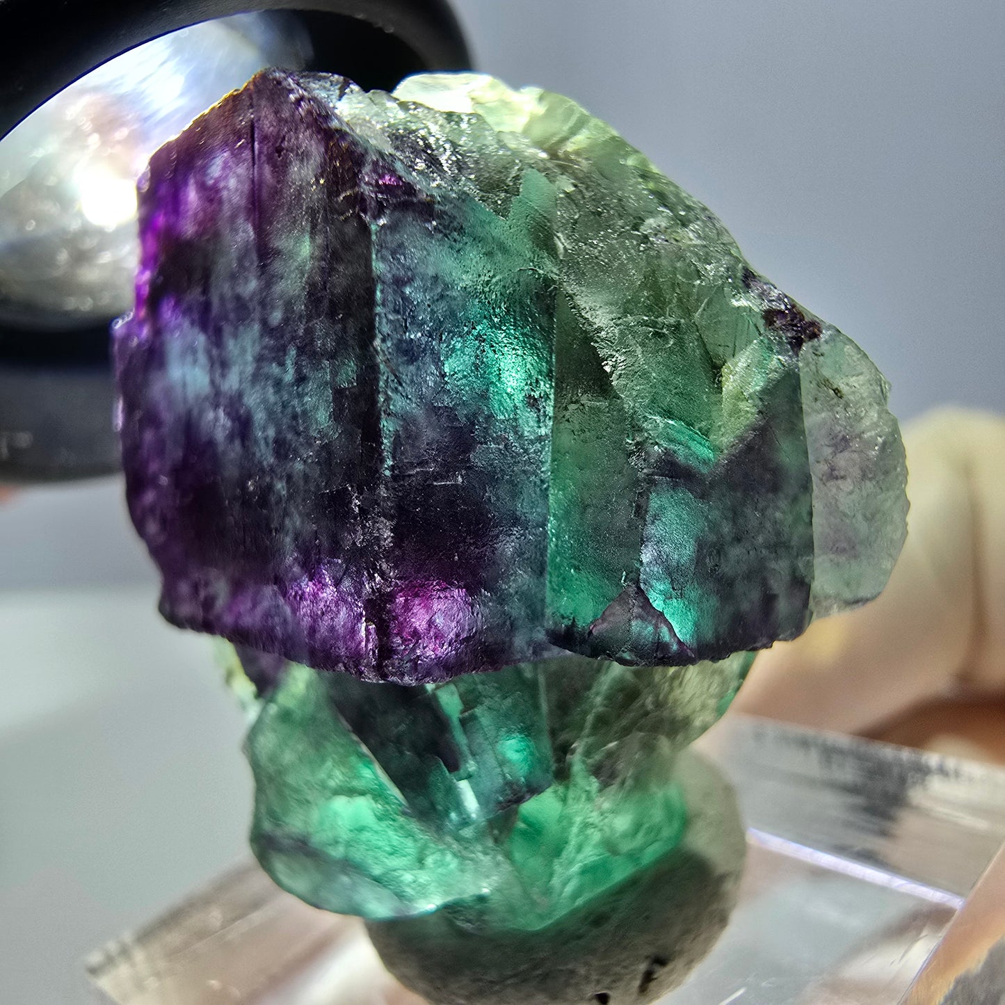 Phantom Fluorit Würfel Stufe, parkettiert grün lila Okorusu, Namibia 30*28*16mm