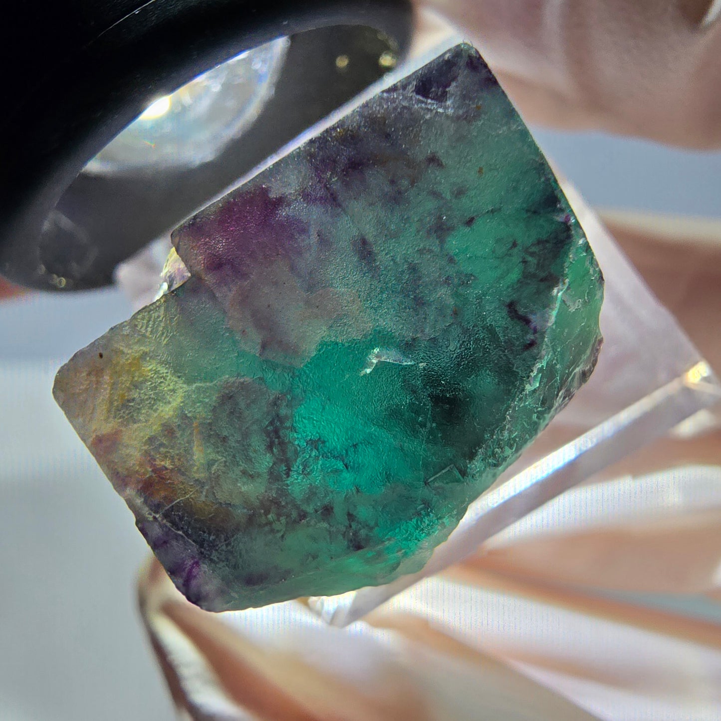 Phantom Fluorit Würfel Stufe, parkettiert grün lila Okorusu, Namibia 21*19*18mm