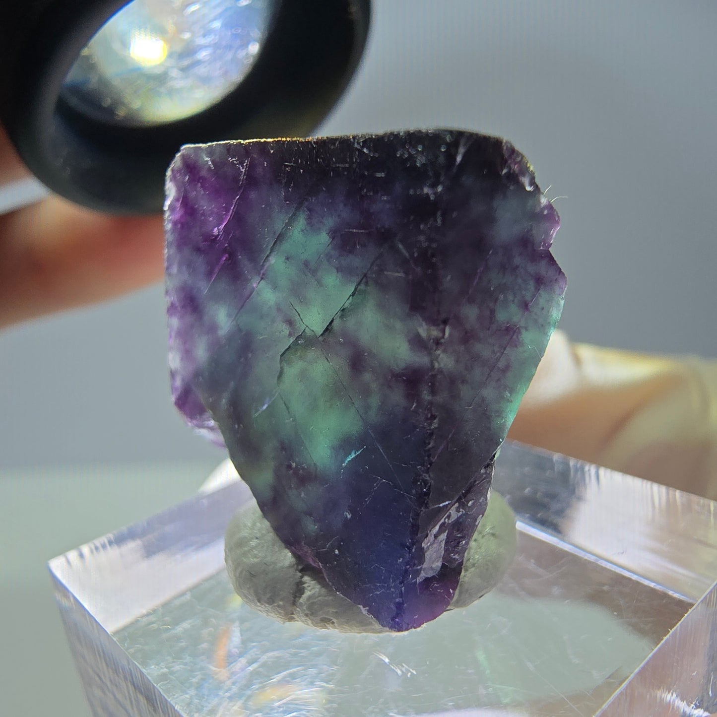 Rare cube de fluorite fantôme parqueté vert violet Okorusu Namibie 19*20*14mm