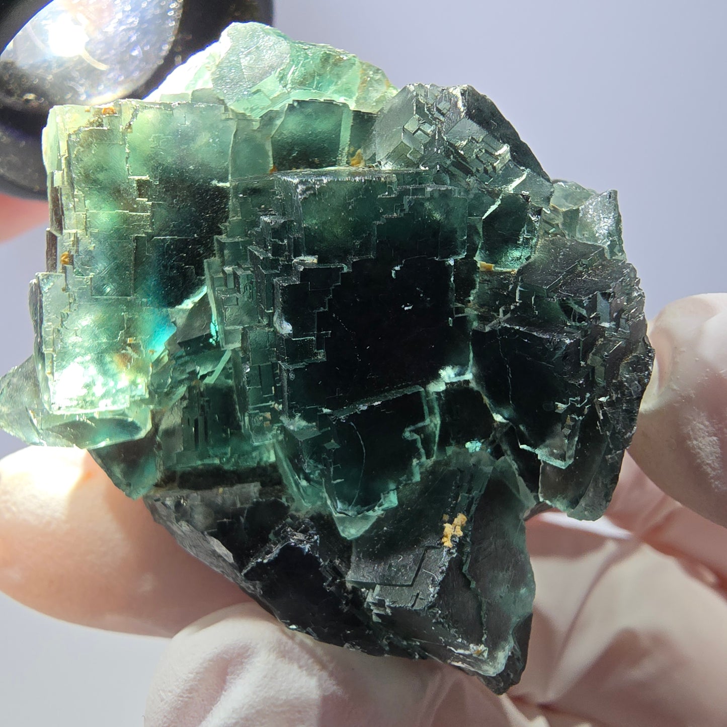 Spécimen de cube de fluorite fantôme parqueté vert violet Okorusu, Namibie 42*38*24mm