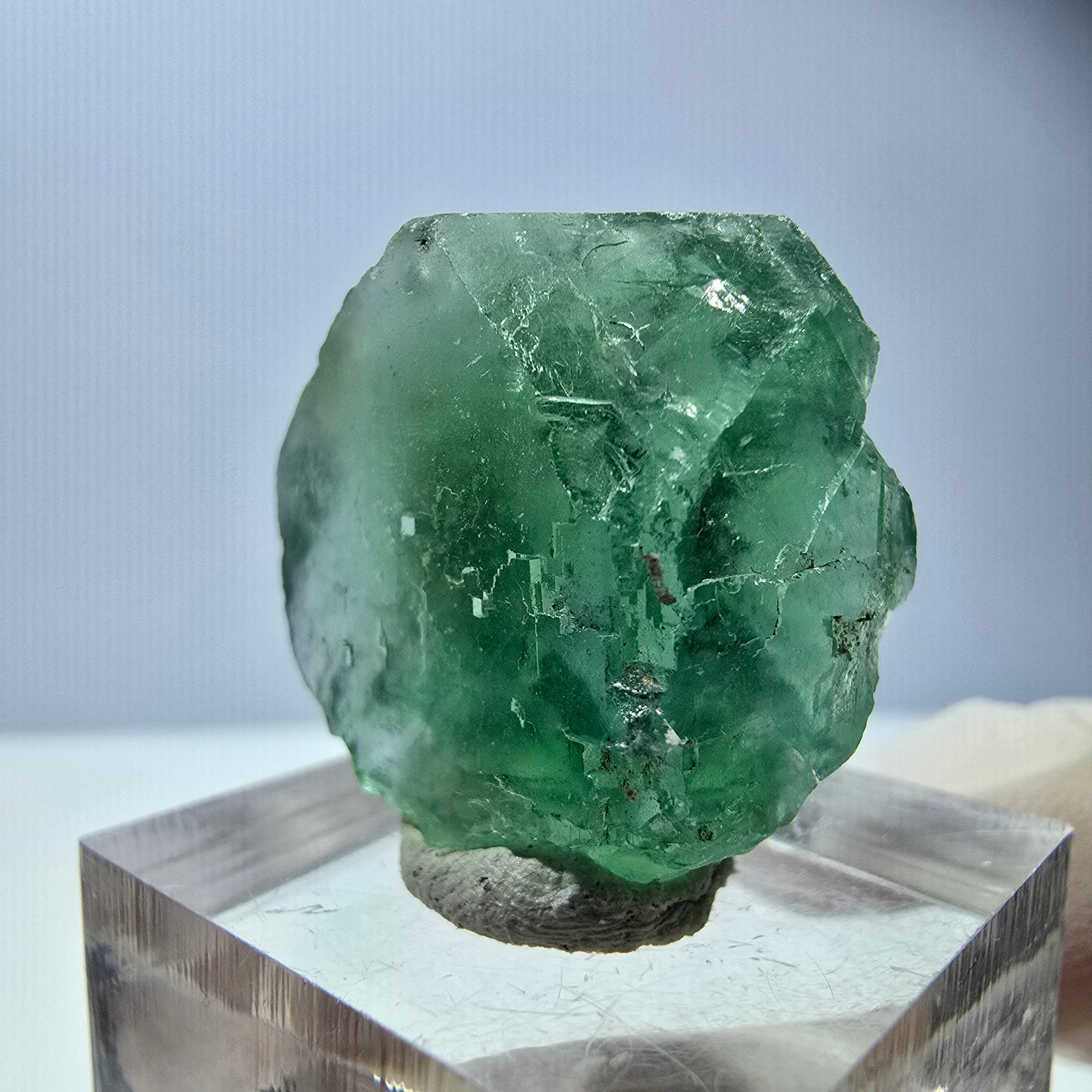 Cube de fluorite fantôme transparente parquetée, vert Okorusu, Namibie 23 x 23 x 17 mm