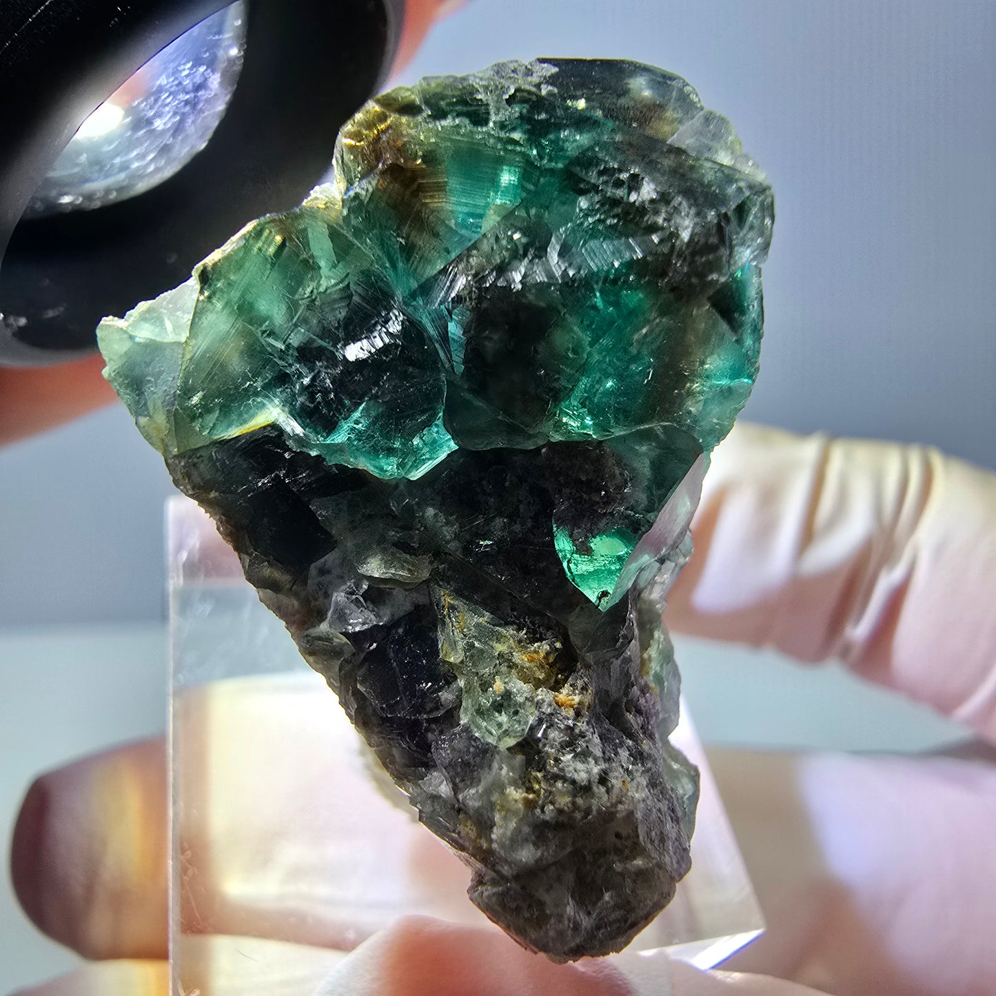 Spécimen de cube de fluorite fantôme, parquet vert Okorusu, Namibie 32 x 26 x 24 mm