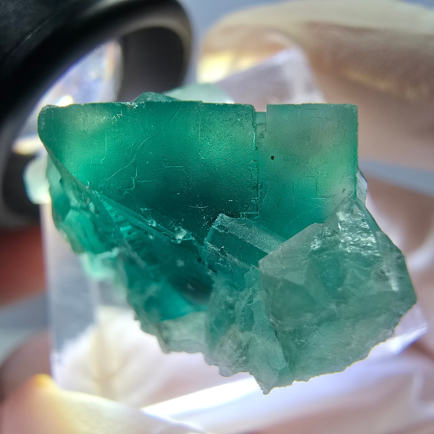 Phantom Fluorit Würfel Stufe, grün parkettiert Okorusu, Namibia 30*18*14mm