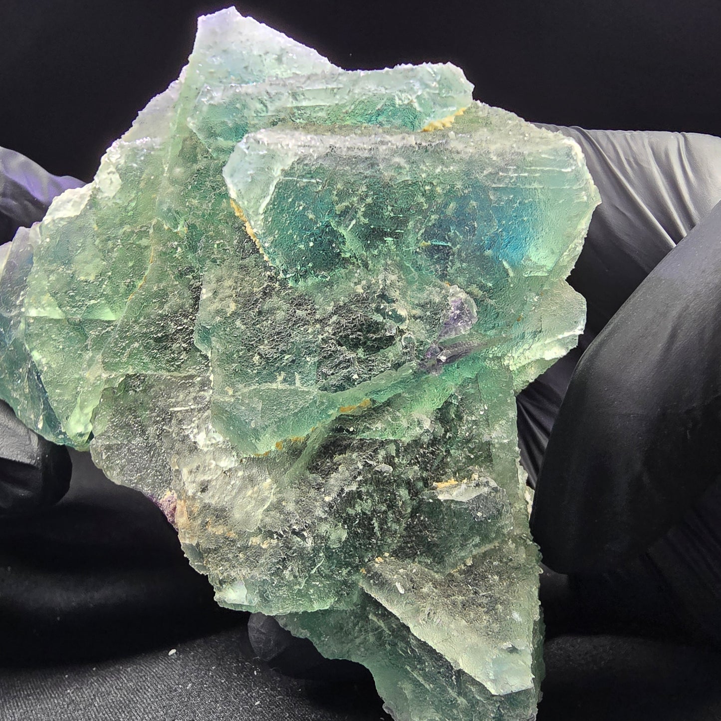 Große Phantom Fluorit XX Oktaeder Stufe grün blau 110*77*71mm aus Erongo Namibia