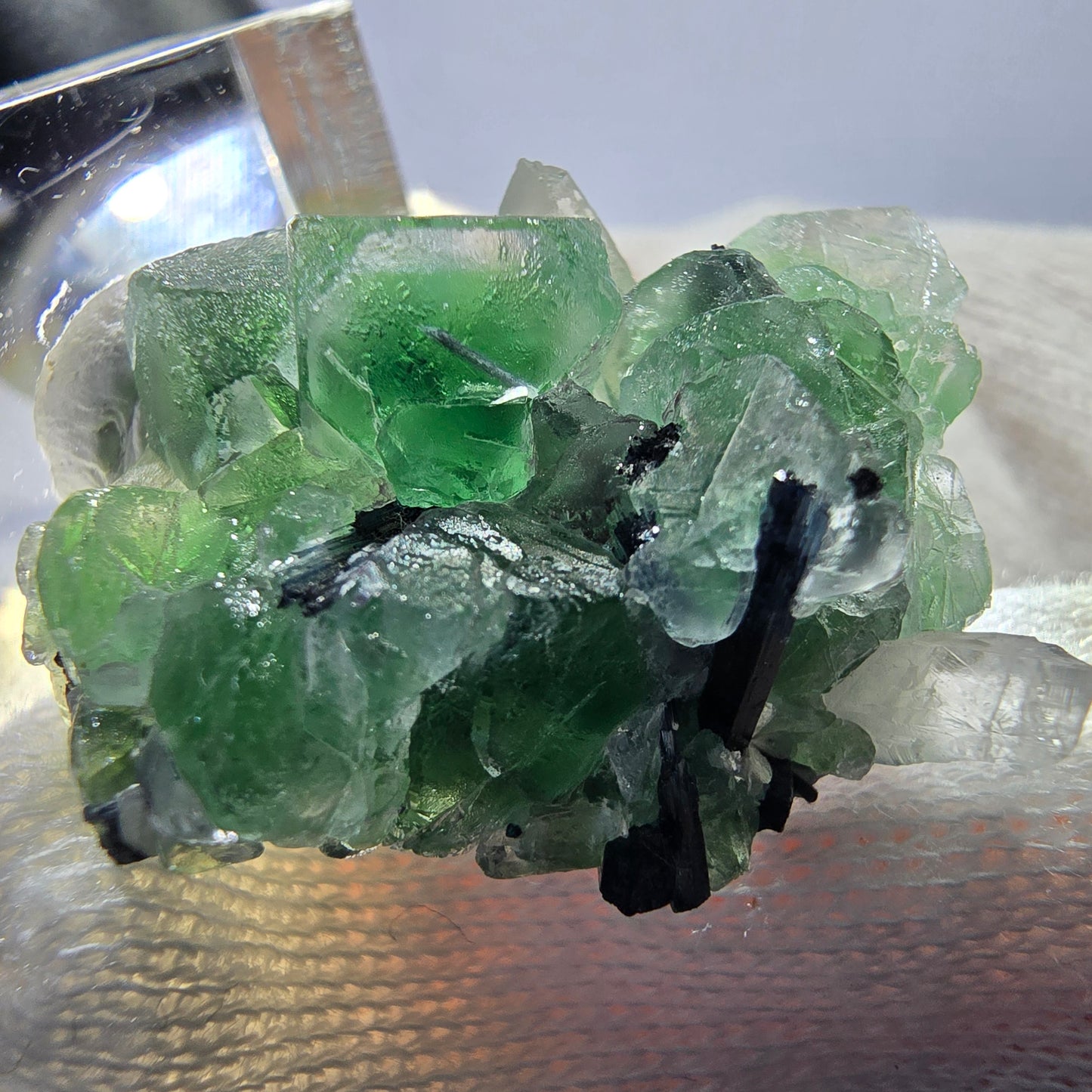 Spécimen de fluorite fantôme, tourmaline Schorl et quartz fumé, Erongo, Namibie, 31 x 25 x 17 mm