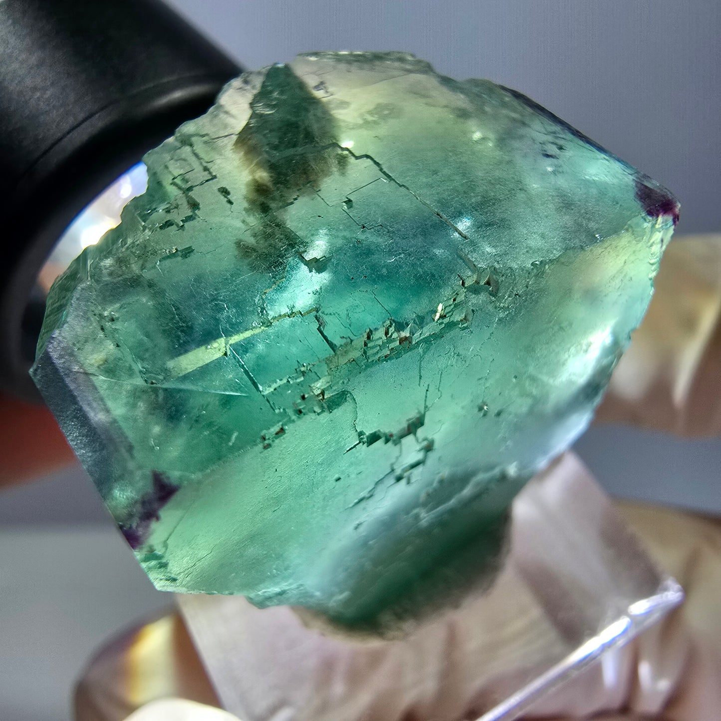 Cube de fluorite fantôme parqueté, zonal, vert violet Okorusu, Namibie 27*27*20mm