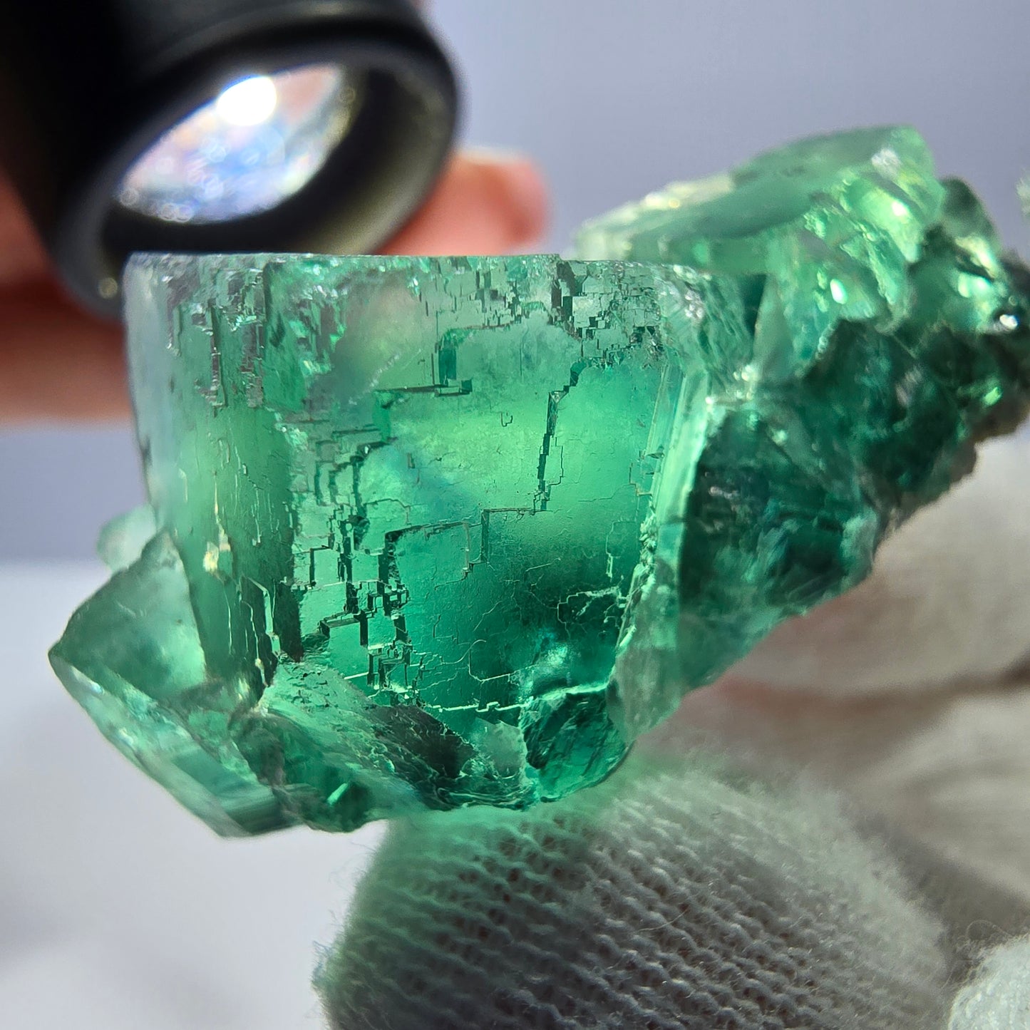 Rare spécimen de cube de fluorite fantôme, parqueté vert Okorusu, Namibie, 50 x 34 x 23 mm