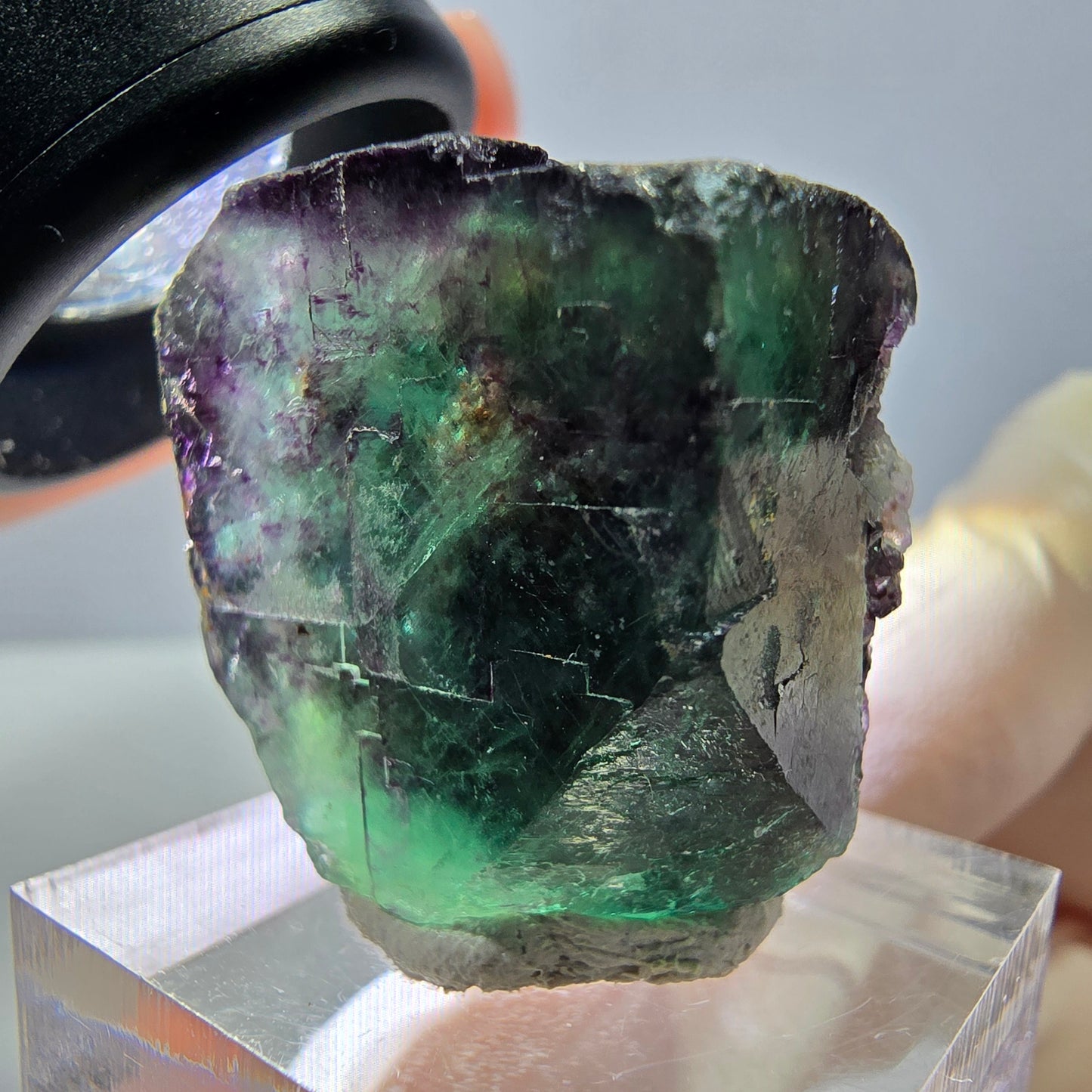 Phantom Fluorit Würfel Stufe, parkettiert grün lila Okorusu, Namibia 24*23*19mm