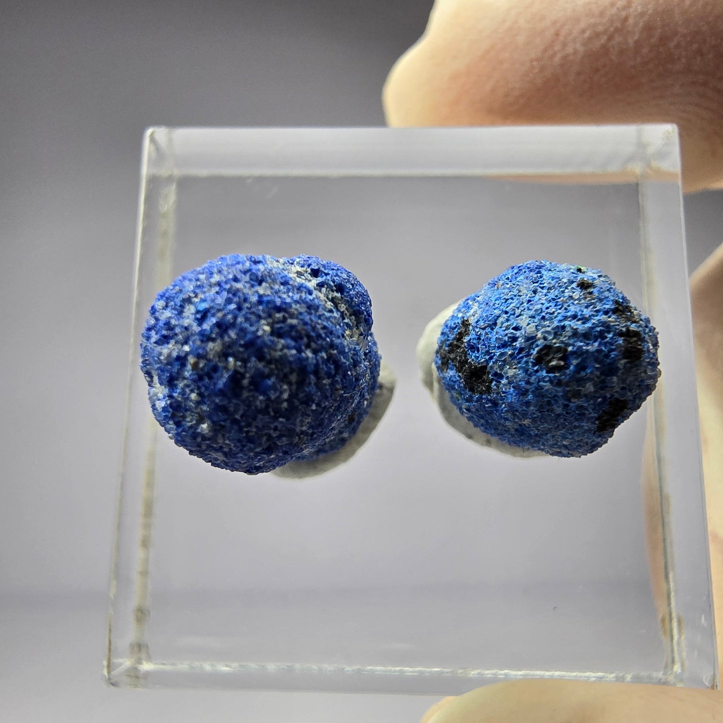 2x seltene Azurit Blueberry - Set 12,1mm + 9,2mm Durchmesser aus USA, New Mexico
