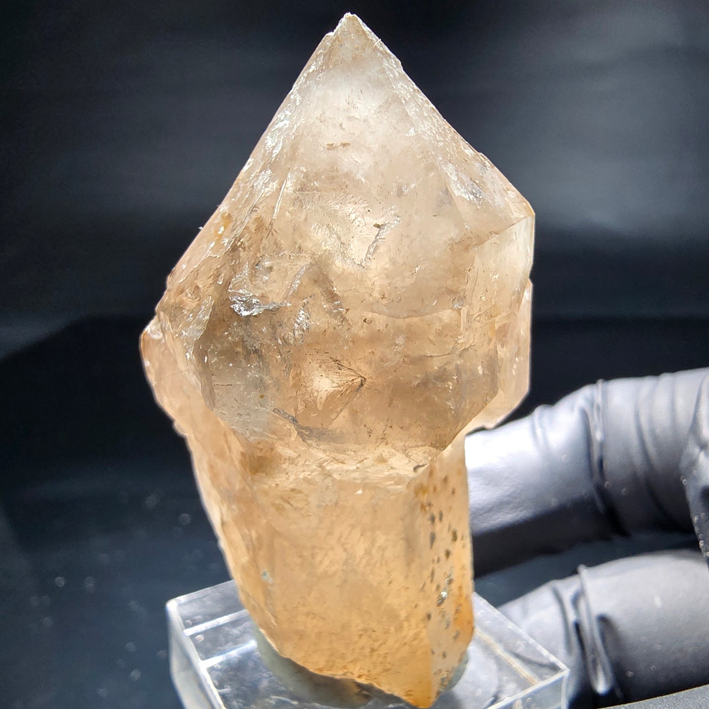 Schöne Phantom Rauchquarz Zepter Spitze Erongo, Namibia 53*34*25mm Sammlung