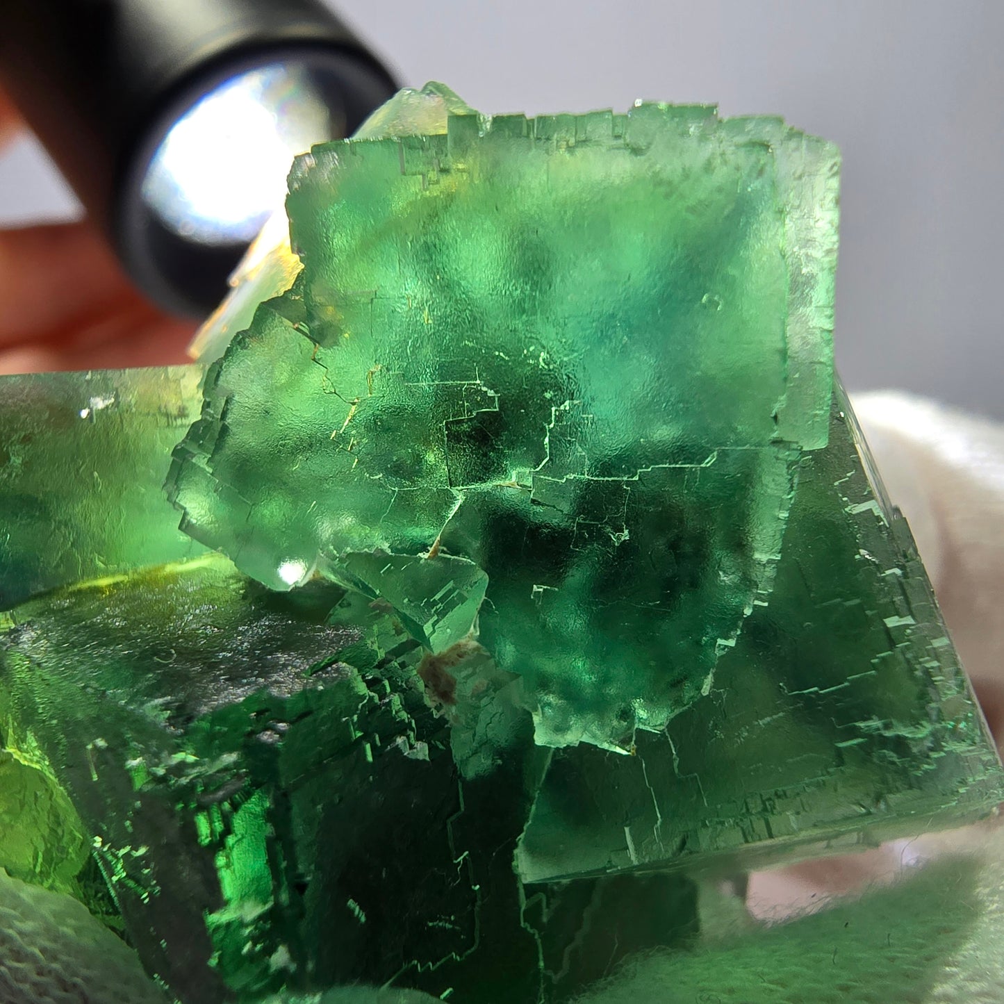 Rare spécimen de cube de fluorite fantôme, parqueté vert Okorusu, Namibie, 57 x 39 x 29 mm