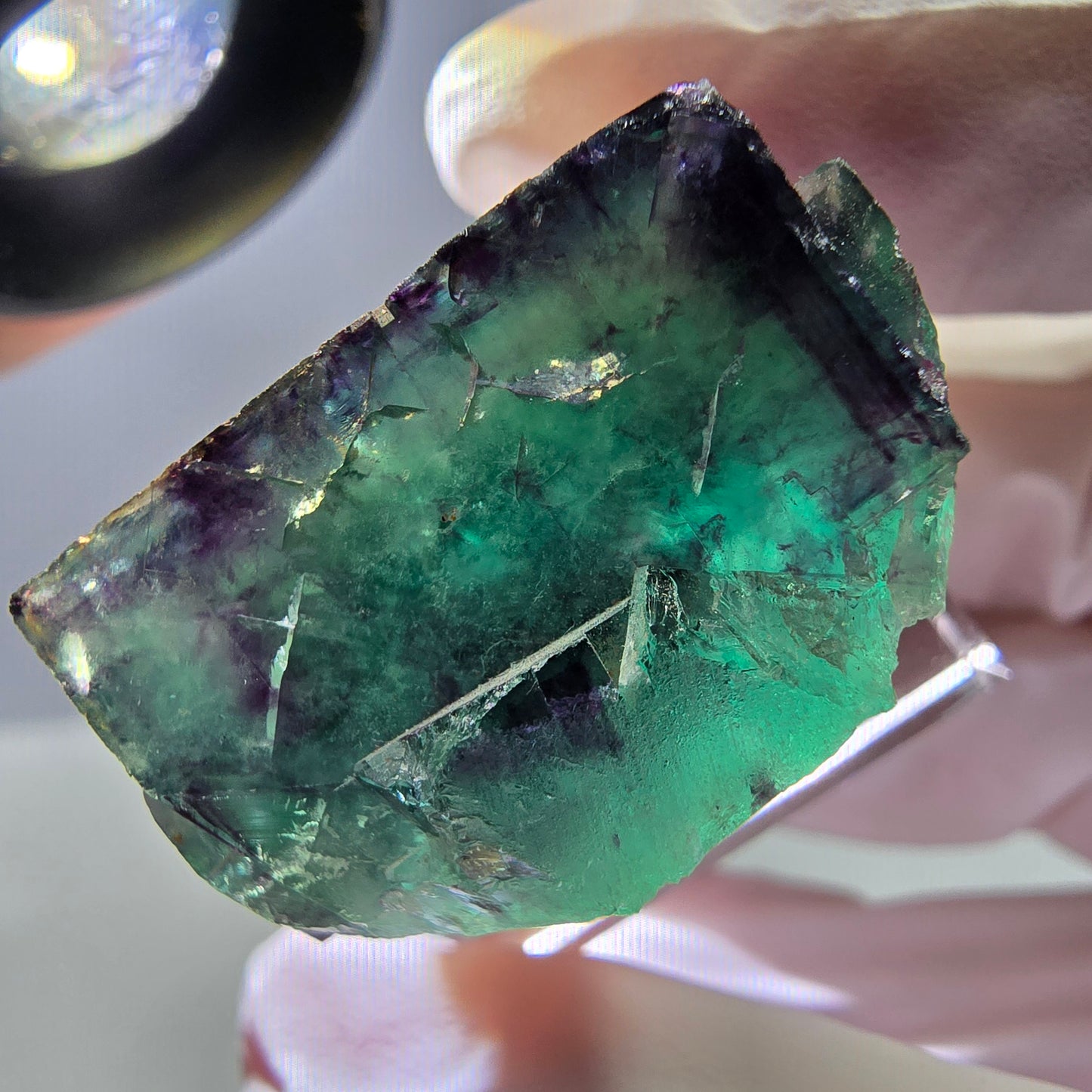 Rare cube de fluorite fantôme parqueté vert violet Okorusu Namibie 30*25*13mm