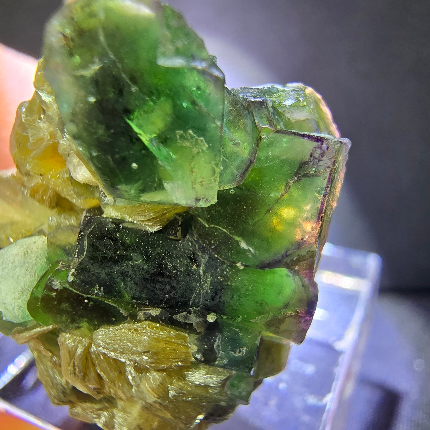 Klare Fluorit mit Muskovit grün 27*23*19mm Erongo, Namibia Mineraliensammlung