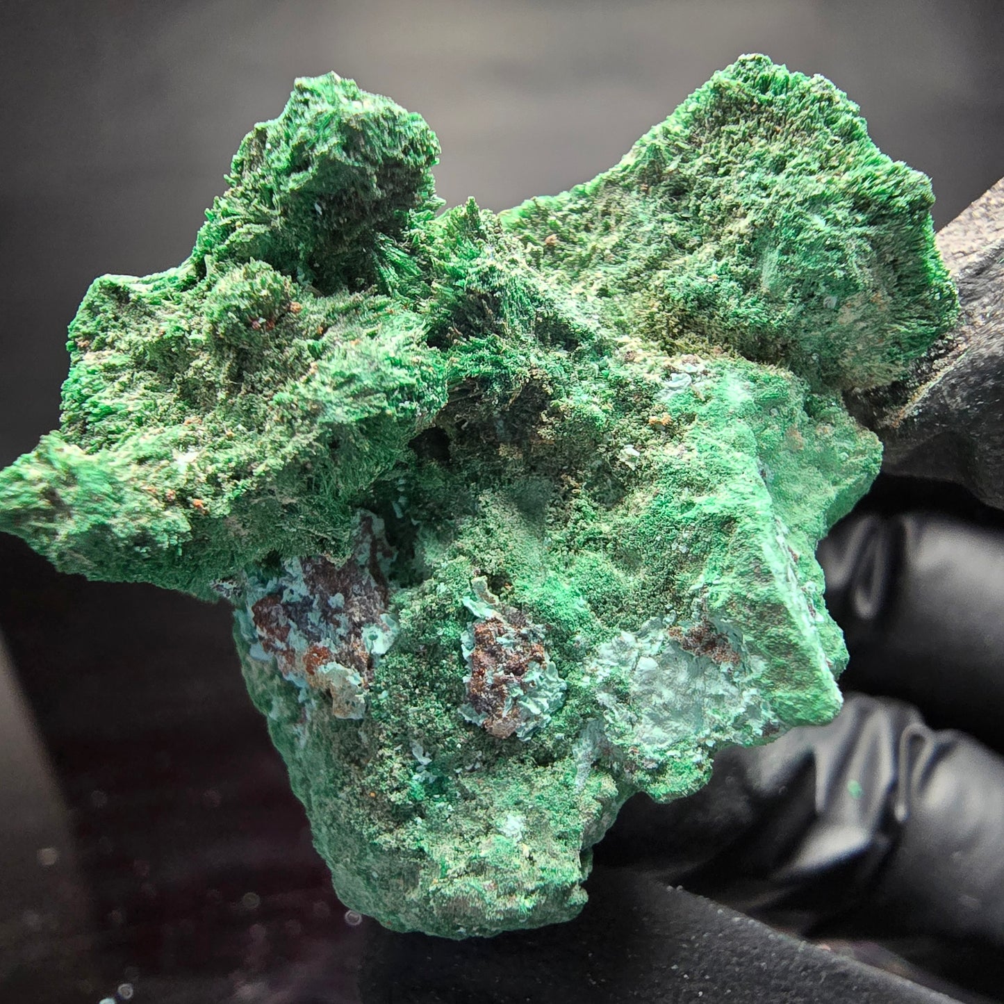 Seltene Malachit, Chrysokoll Stufe Kaokoveld, Namibia 40*31*31mm Sammlung