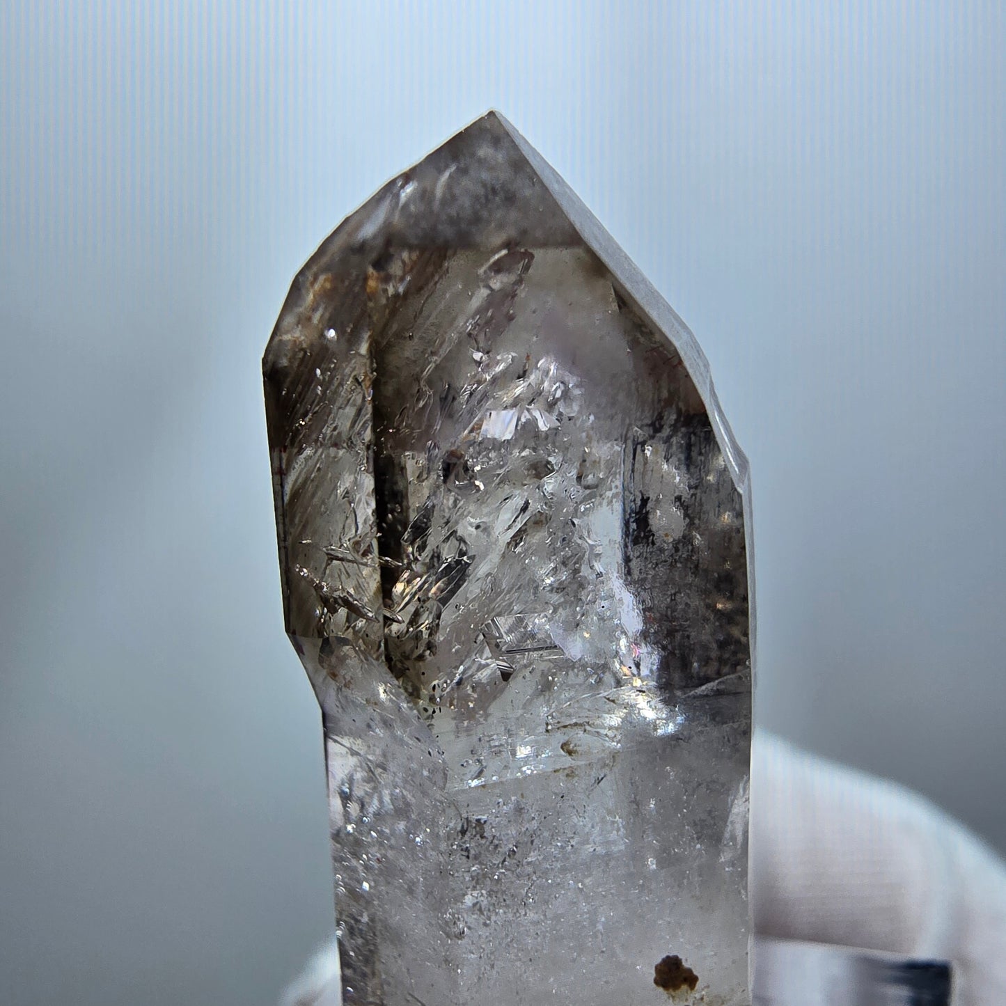 Enhydro Phantom Rauchquarz Zepter, 1x Blase Goboboseb, Namibia 38*14*14mm