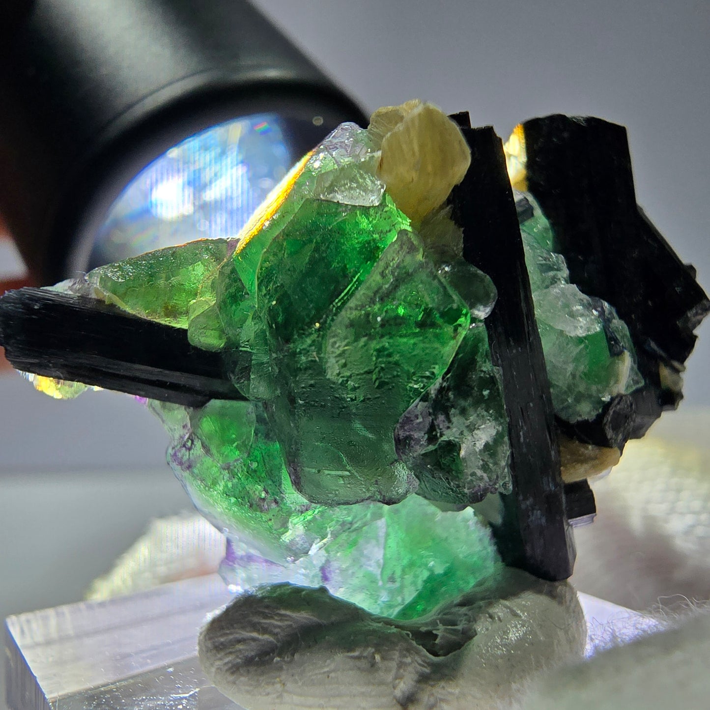 Cube de fluorite fantôme zonal, tourmaline muscovite Schorl Erongo Namibie 36 x 22 x 19 mm
