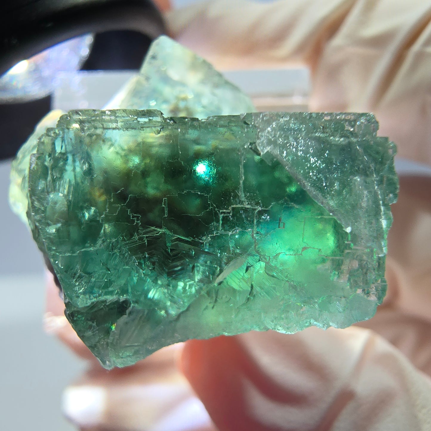 Phantom Fluorit Würfel Stufe, grün parkettiert Okorusu, Namibia 27*24*20mm